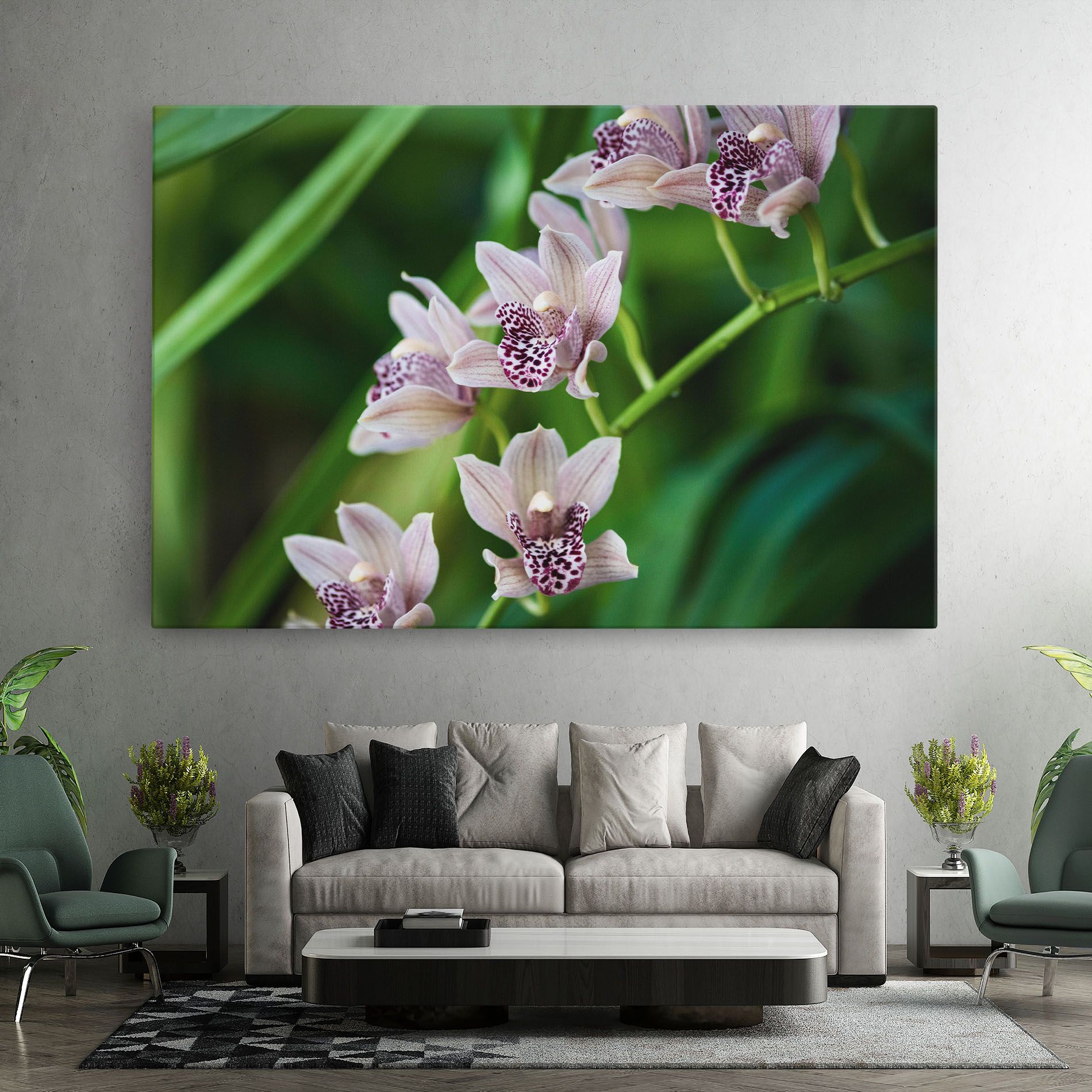 Cymbidium Orchid mockup 7