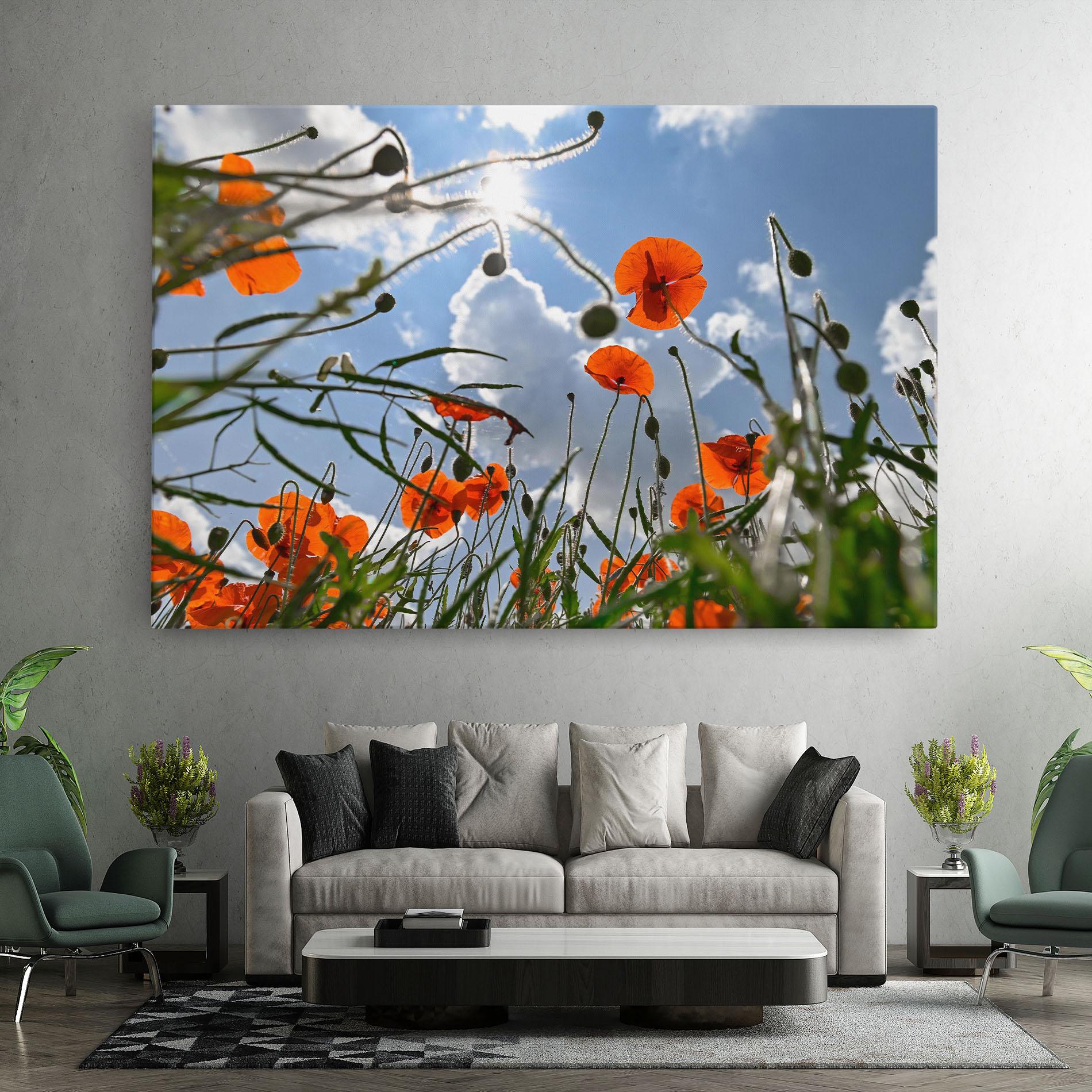 Tablou Canvas Wild Poppy Daylight mockup 7