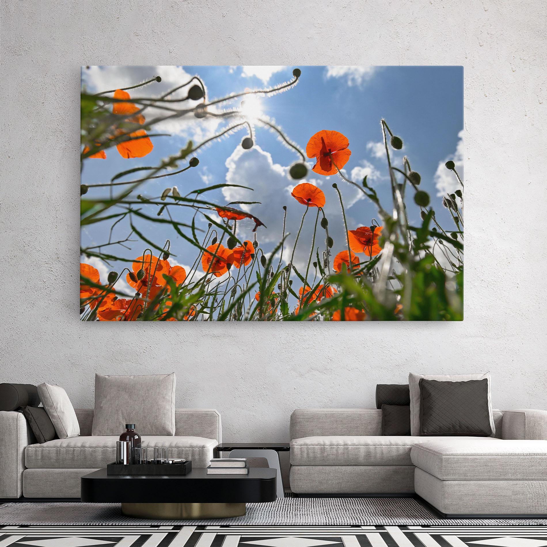 Tablou Canvas Wild Poppy Daylight mockup 2