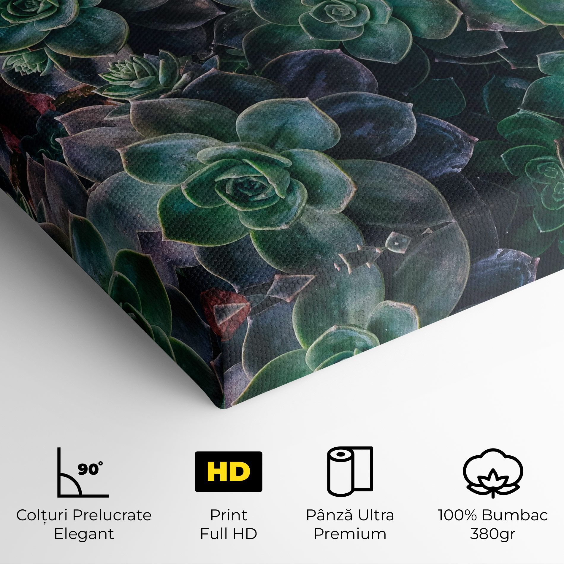 Green Lilac Tree mockup 4