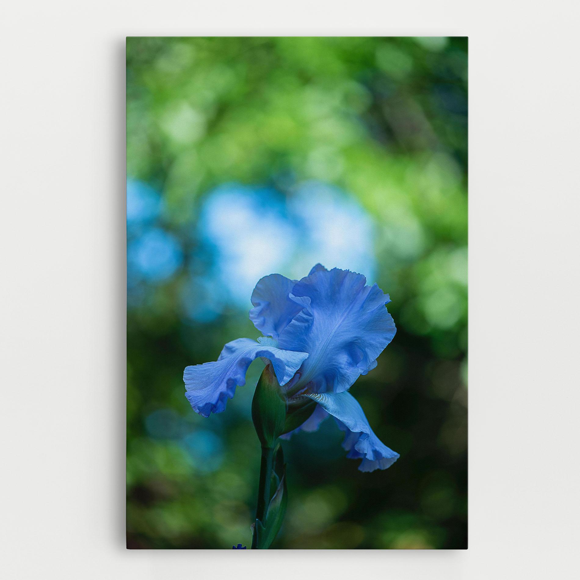 Tablou Canvas Blue Iris In The Garden mockup 0