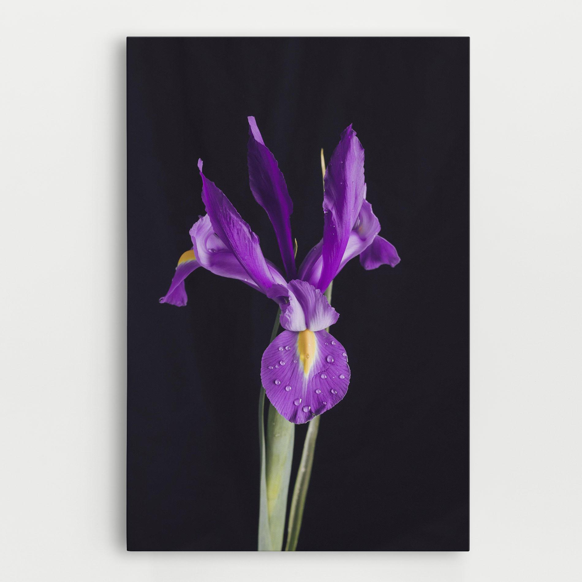Tablou Canvas Fresh Purple Iris mockup 0