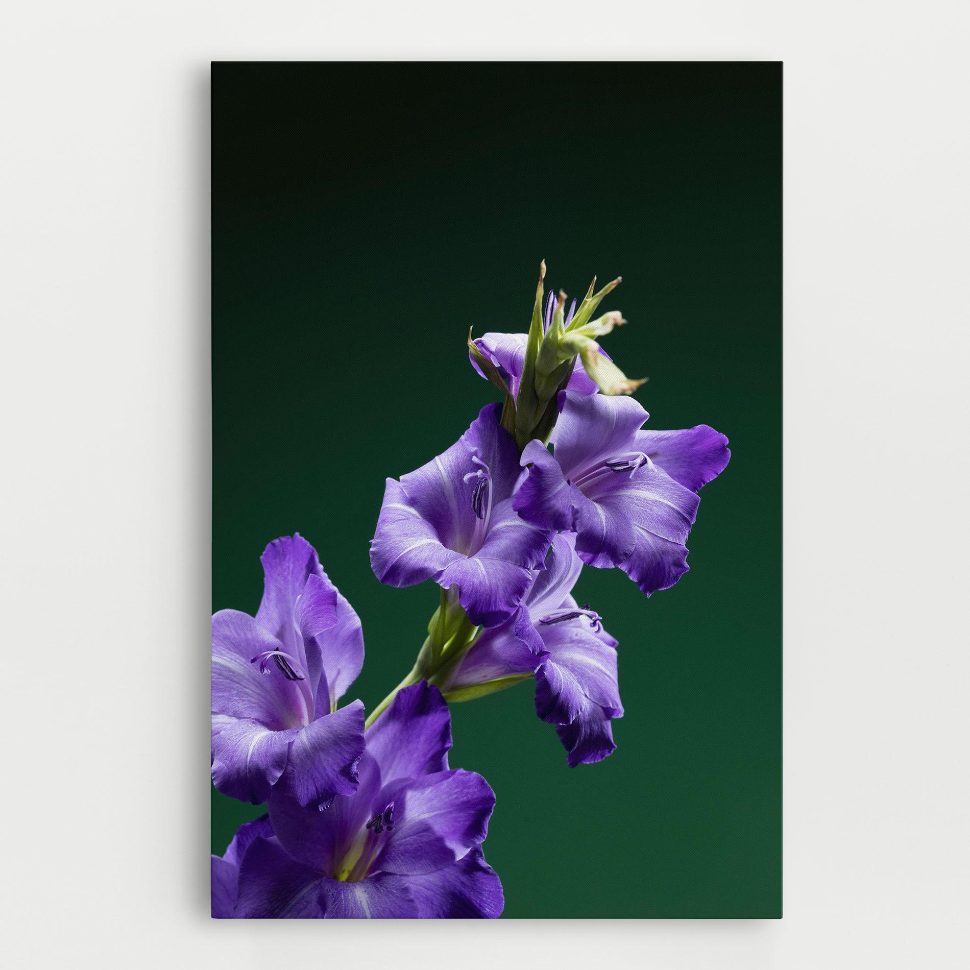 Tablou Canvas Iris On Green mockup 0