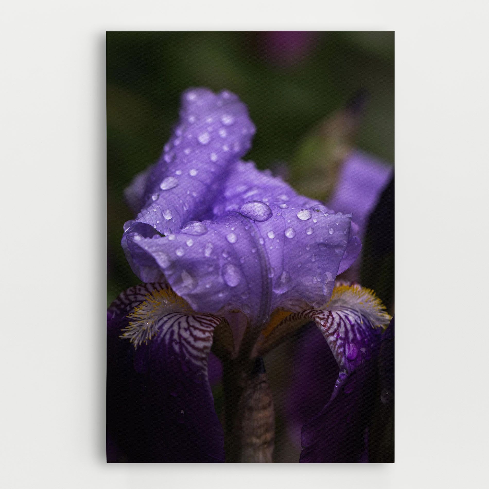 Rain In The Garden mockup 0