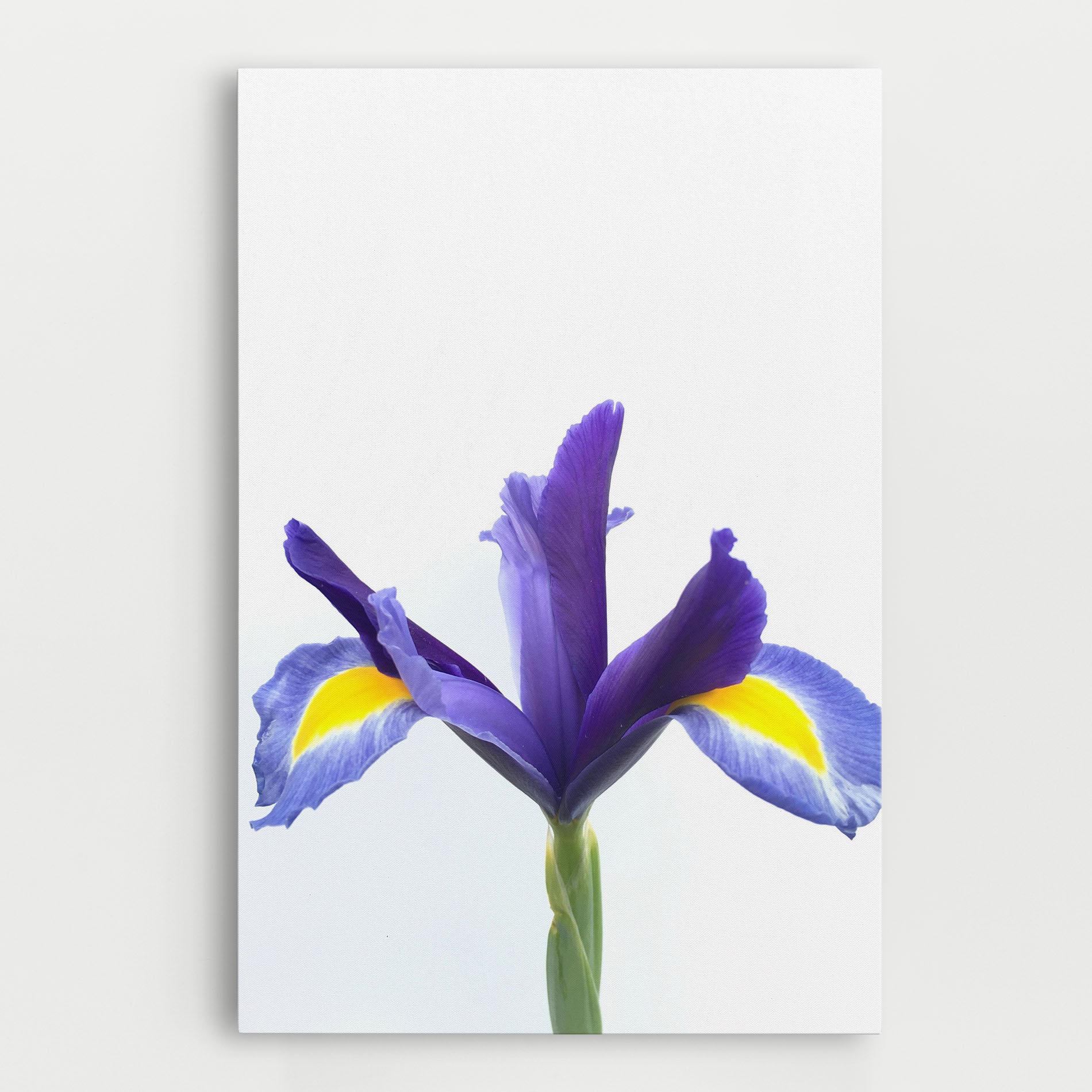 Tablou Canvas Yellow Color Iris mockup 0