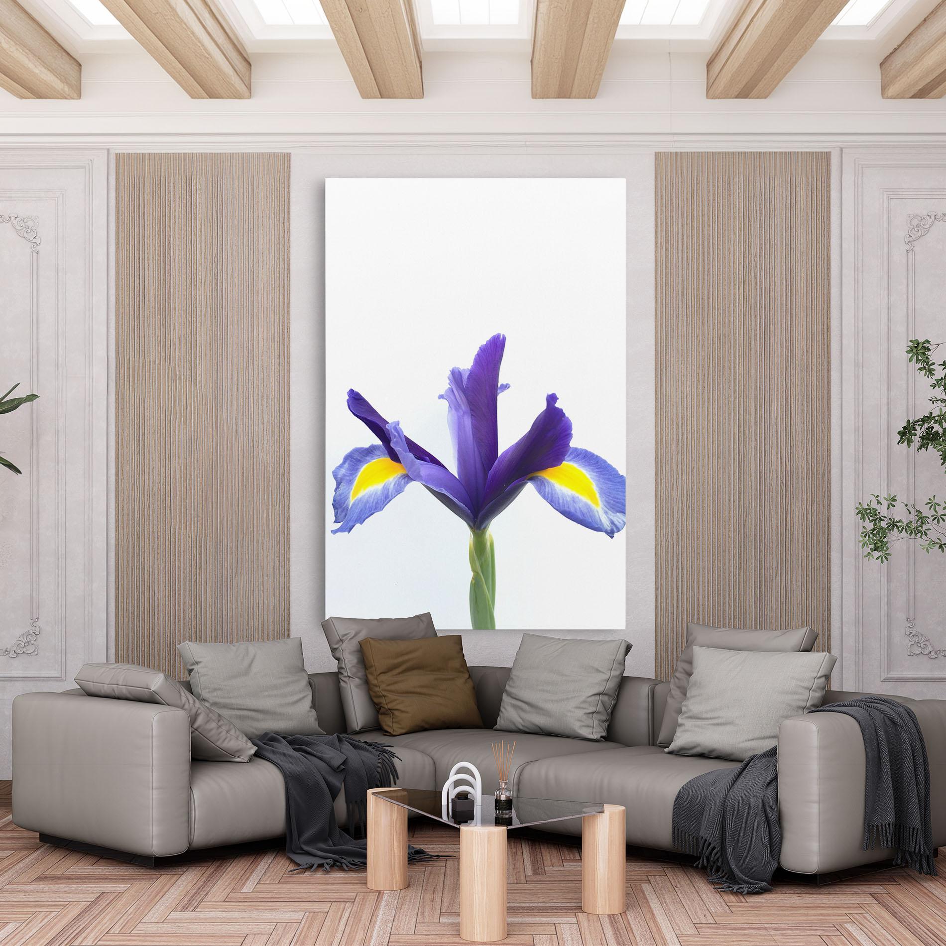 Tablou Canvas Yellow Color Iris mockup 6