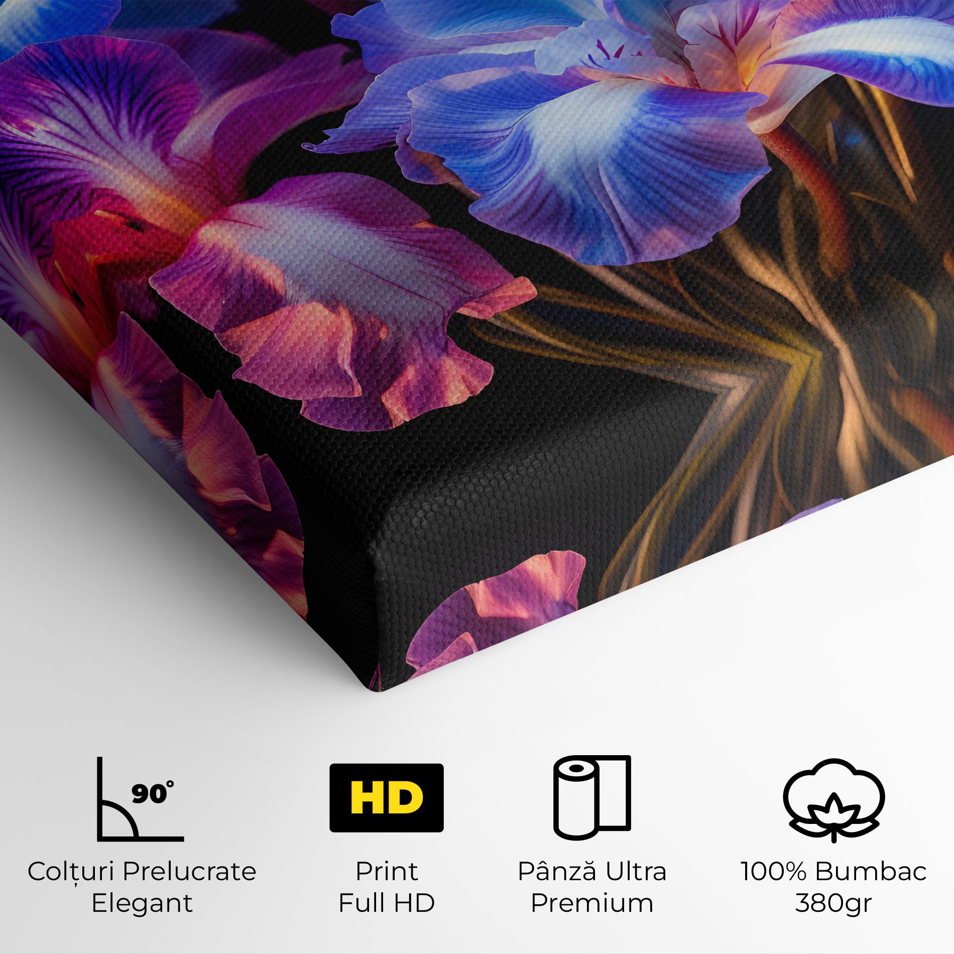 Blue Light Iris mockup 4