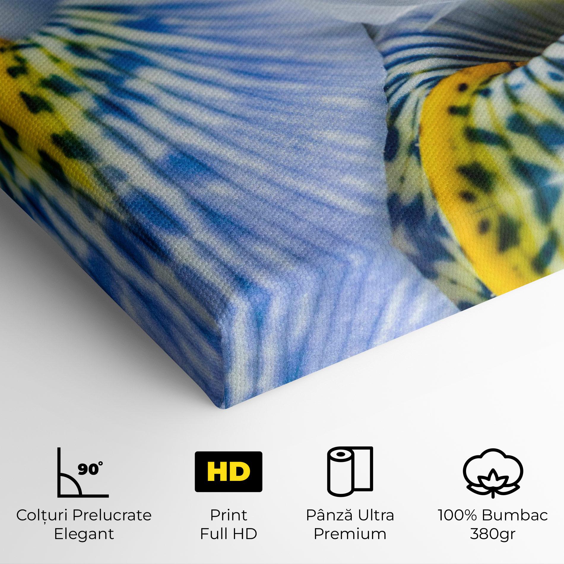 Tablou Canvas Blue Yellow Iris mockup 4