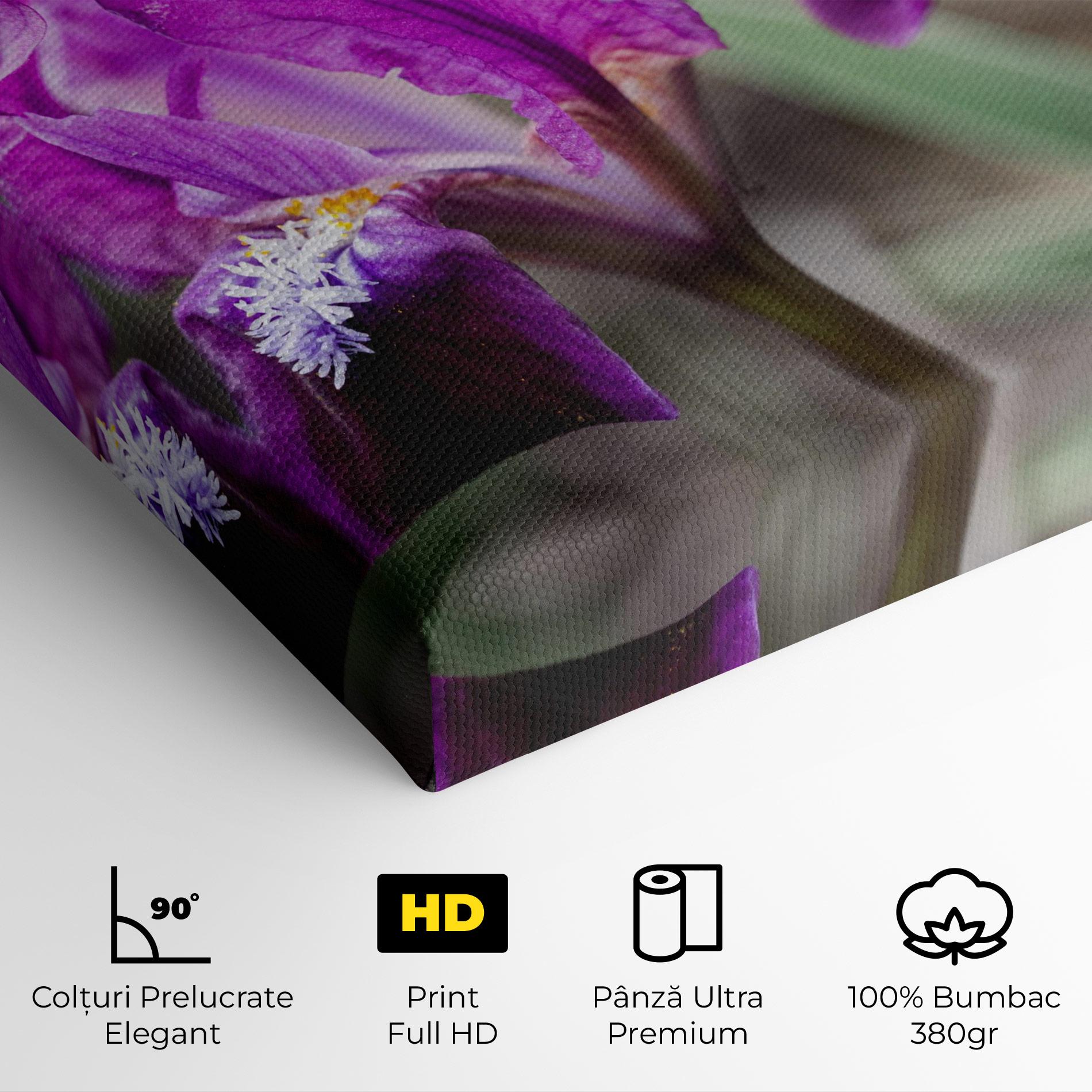 Tablou Canvas Dark Pink Iris mockup 4