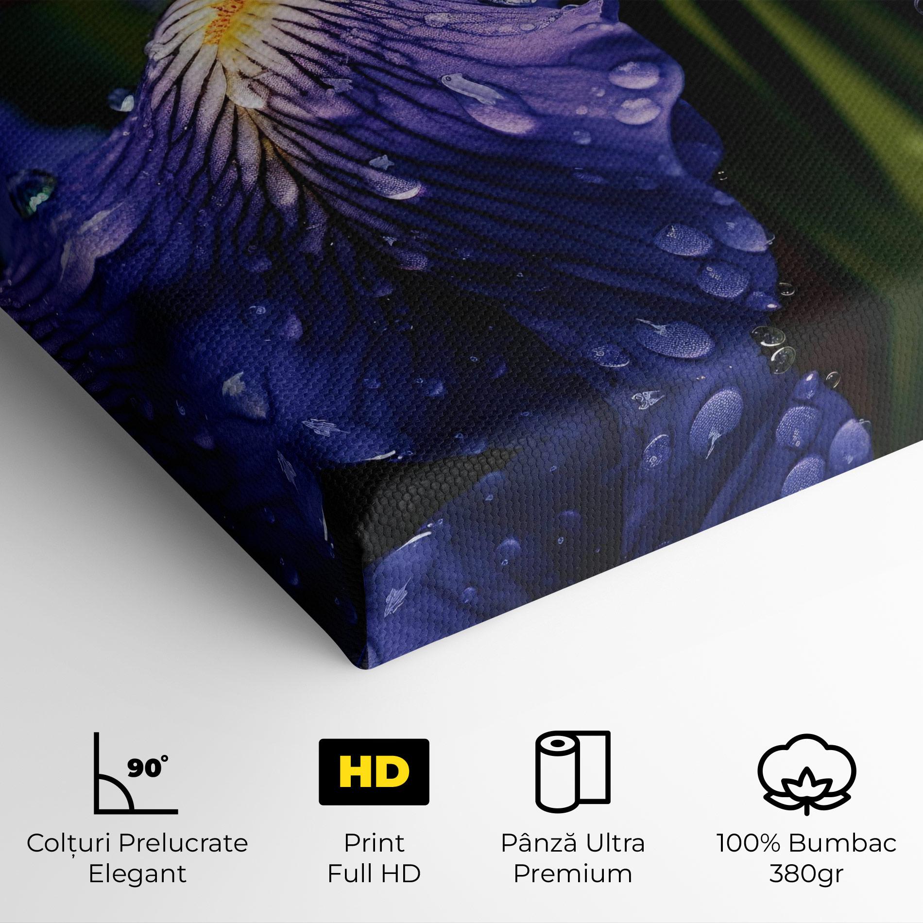 Tablou Canvas Iris After Rain mockup 4