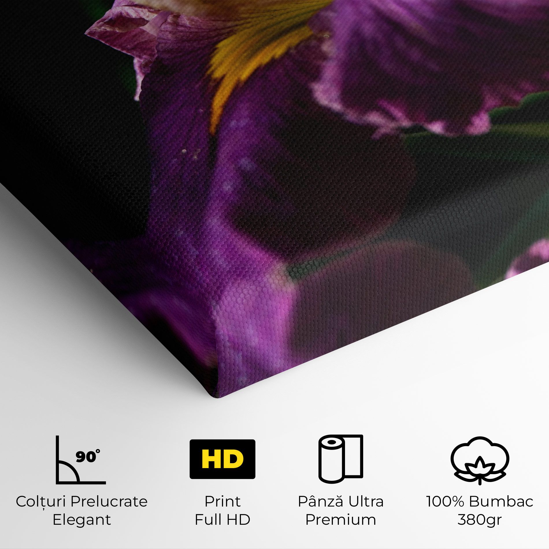 Pastel Yellow Iris mockup 4