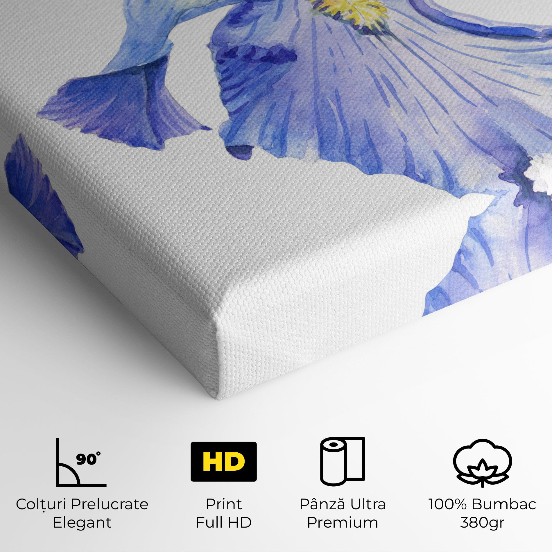 Purple Iris On White mockup 4