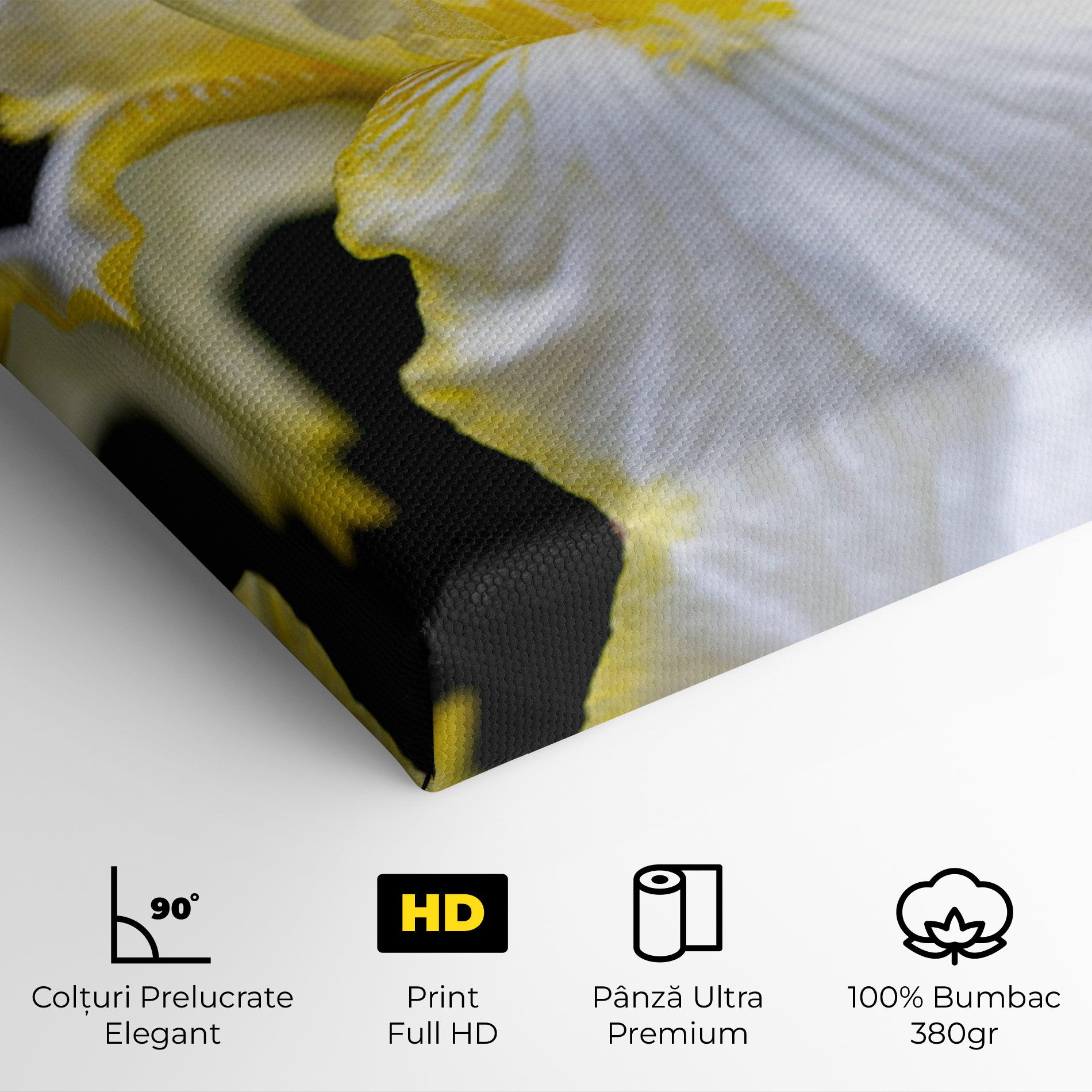 White Yellow Iris mockup 4