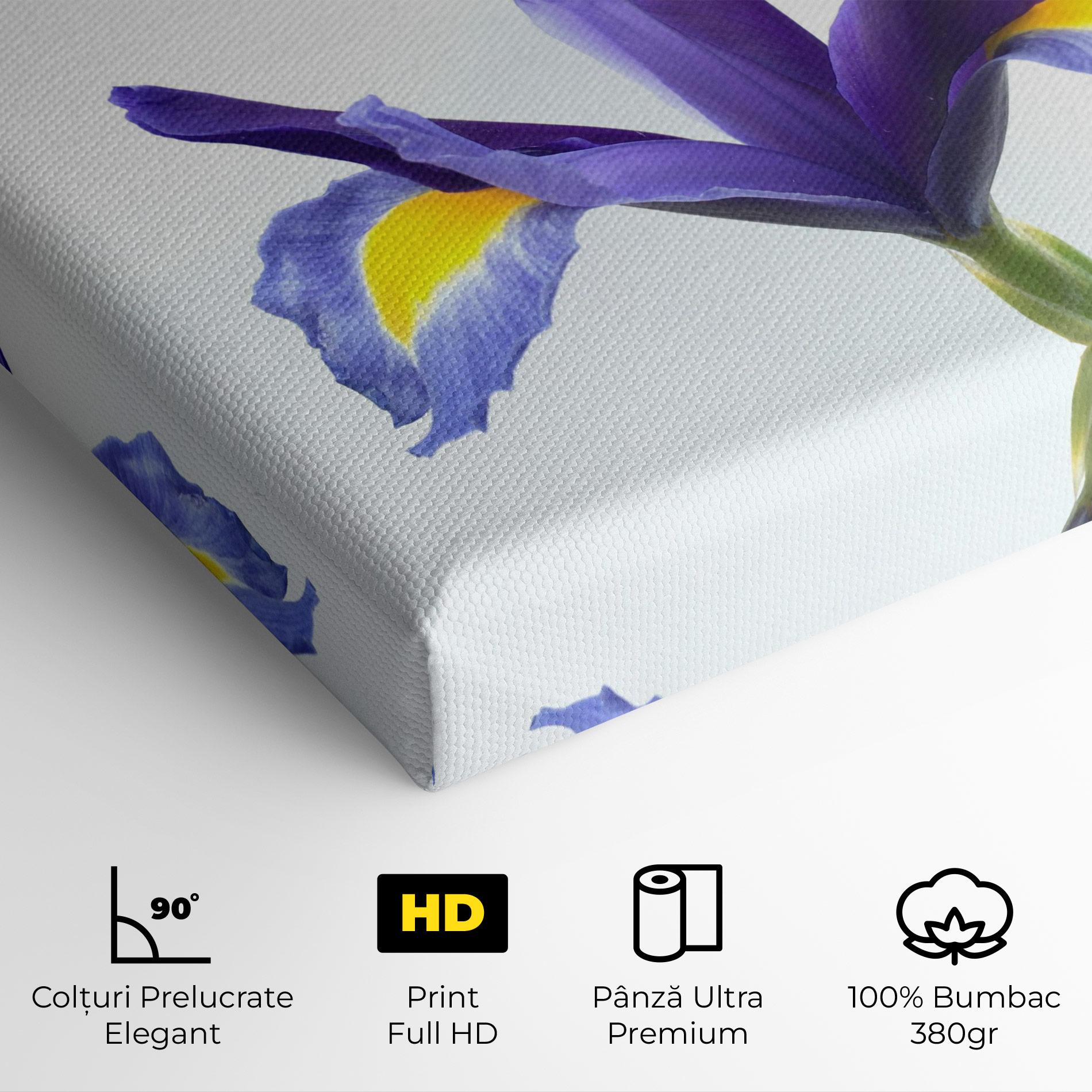 Tablou Canvas Yellow Color Iris mockup 4