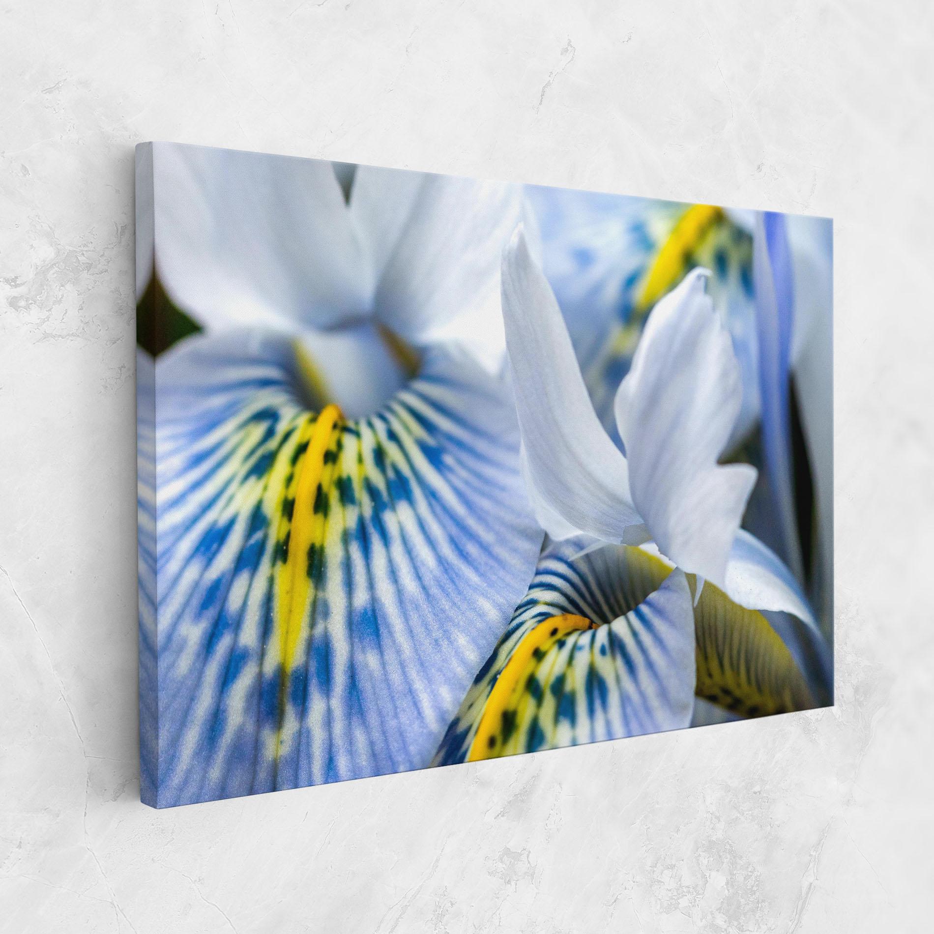 Tablou Canvas Blue Yellow Iris mockup 1