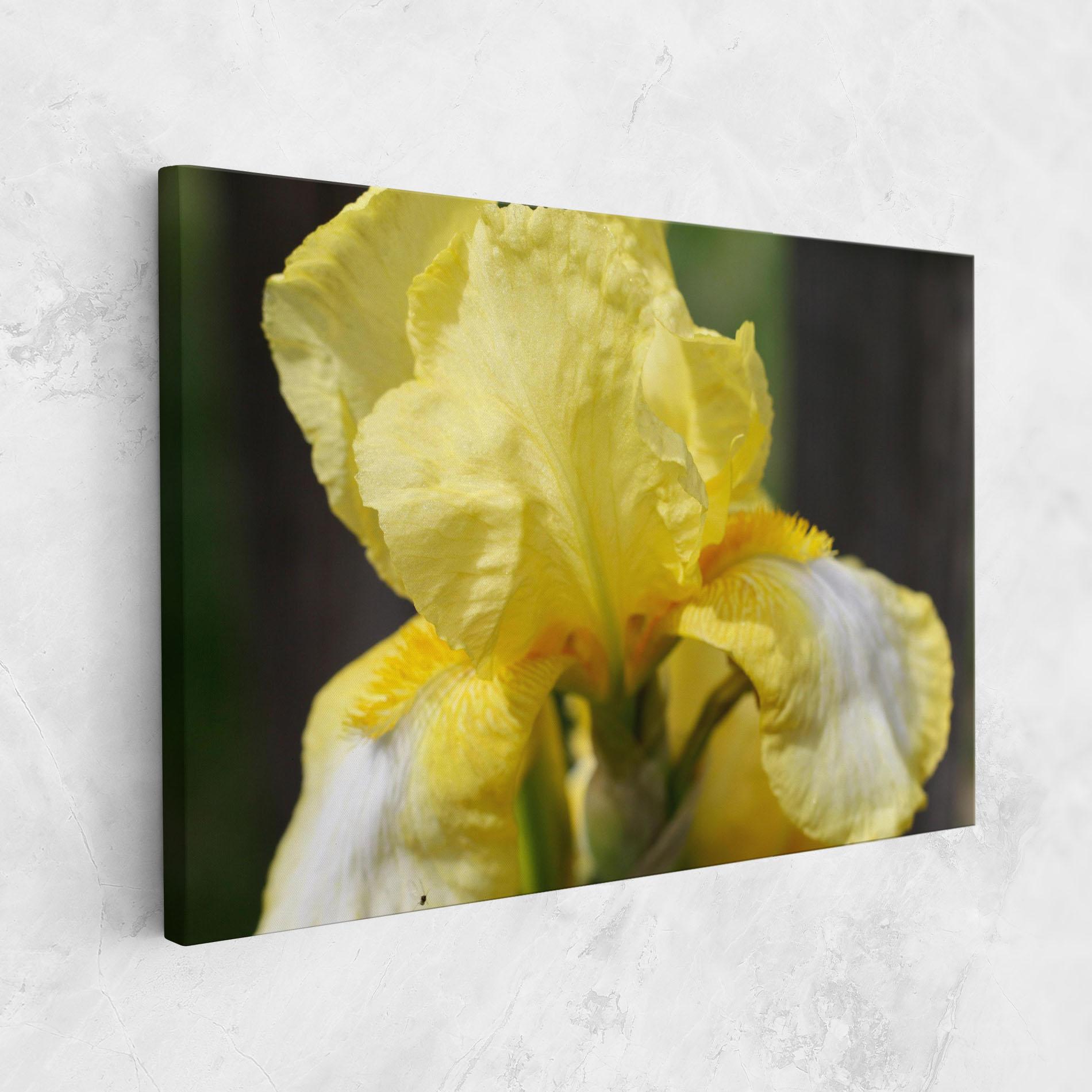 Tablou Canvas Garden Yellow Iris mockup 1