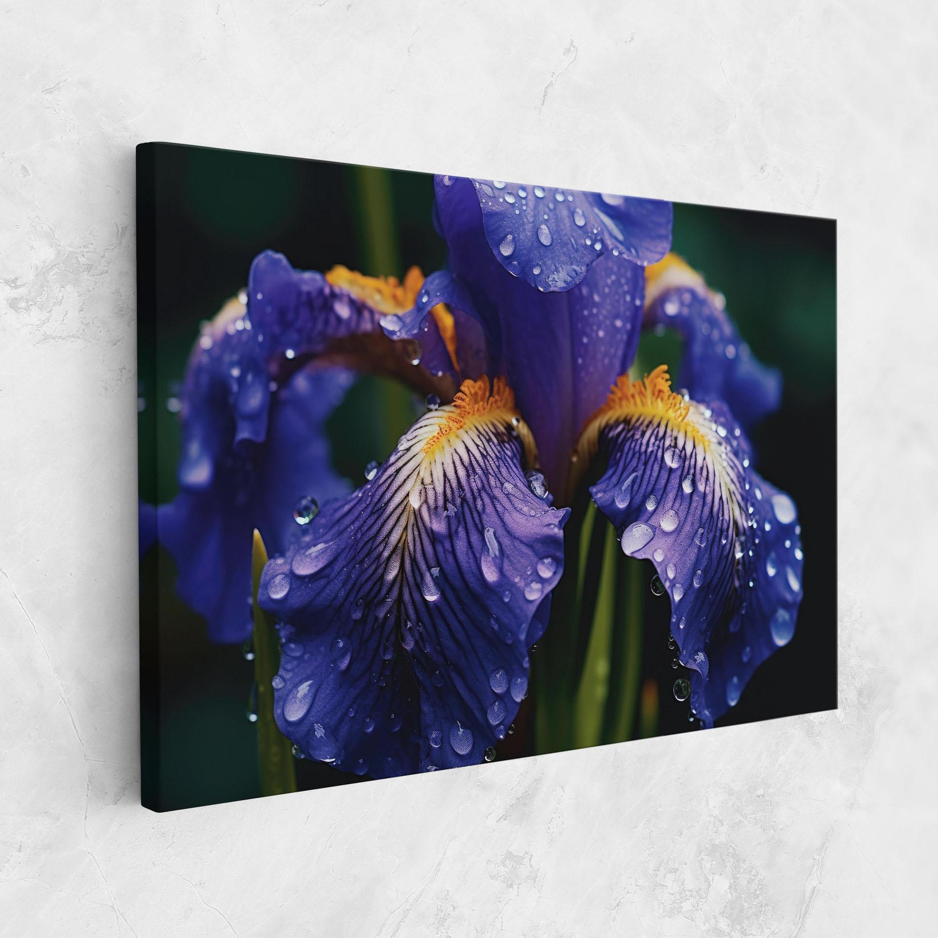 Tablou Canvas Iris After Rain mockup 1