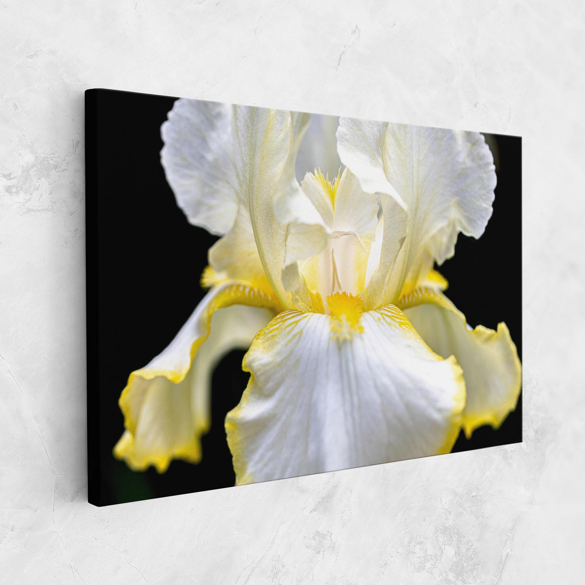 Tablou Canvas White Yellow Iris mockup 1