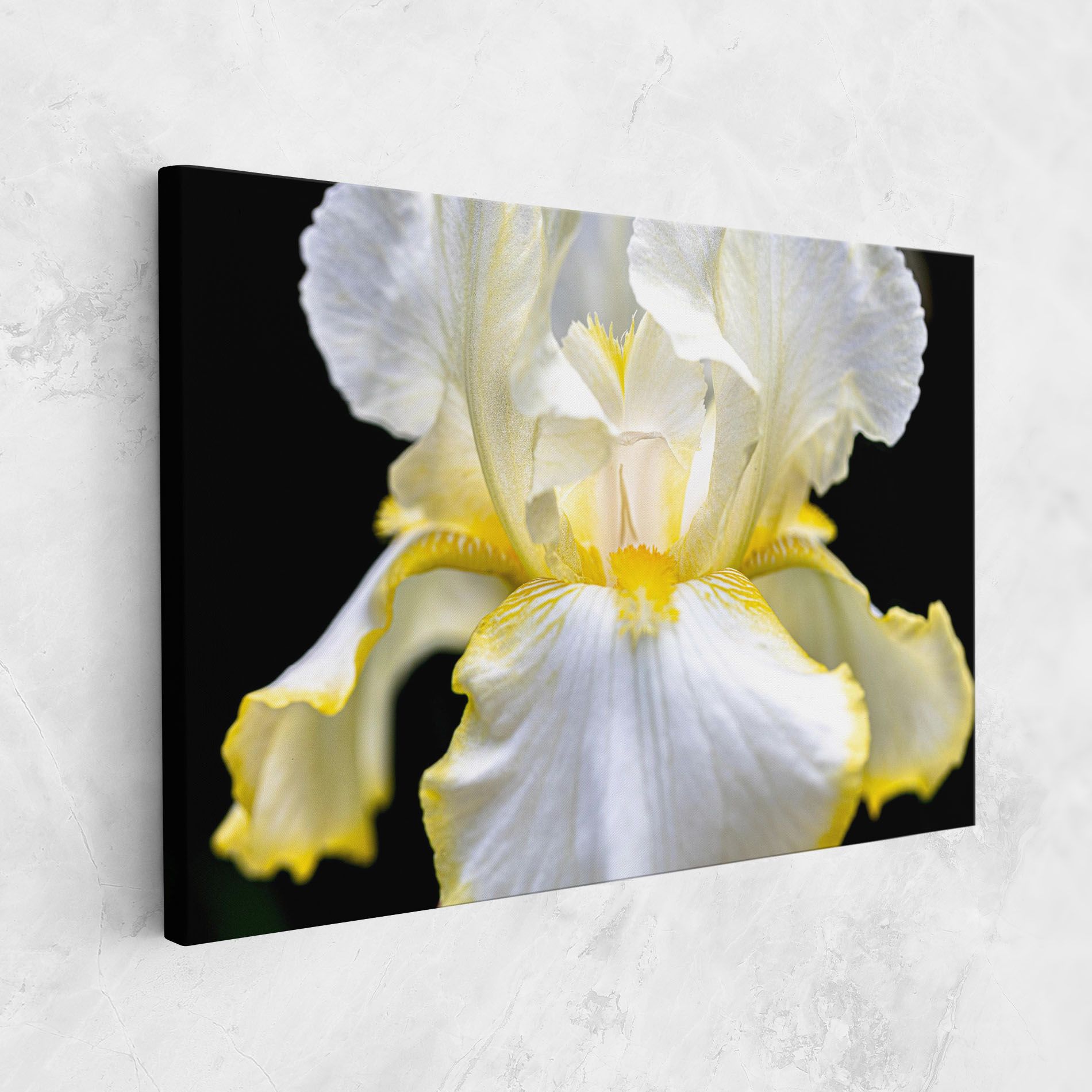 White Yellow Iris mockup 1