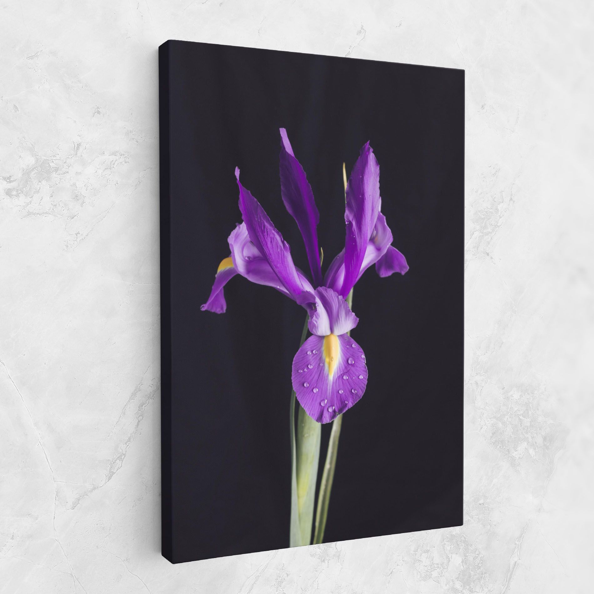 Fresh Purple Iris mockup 1