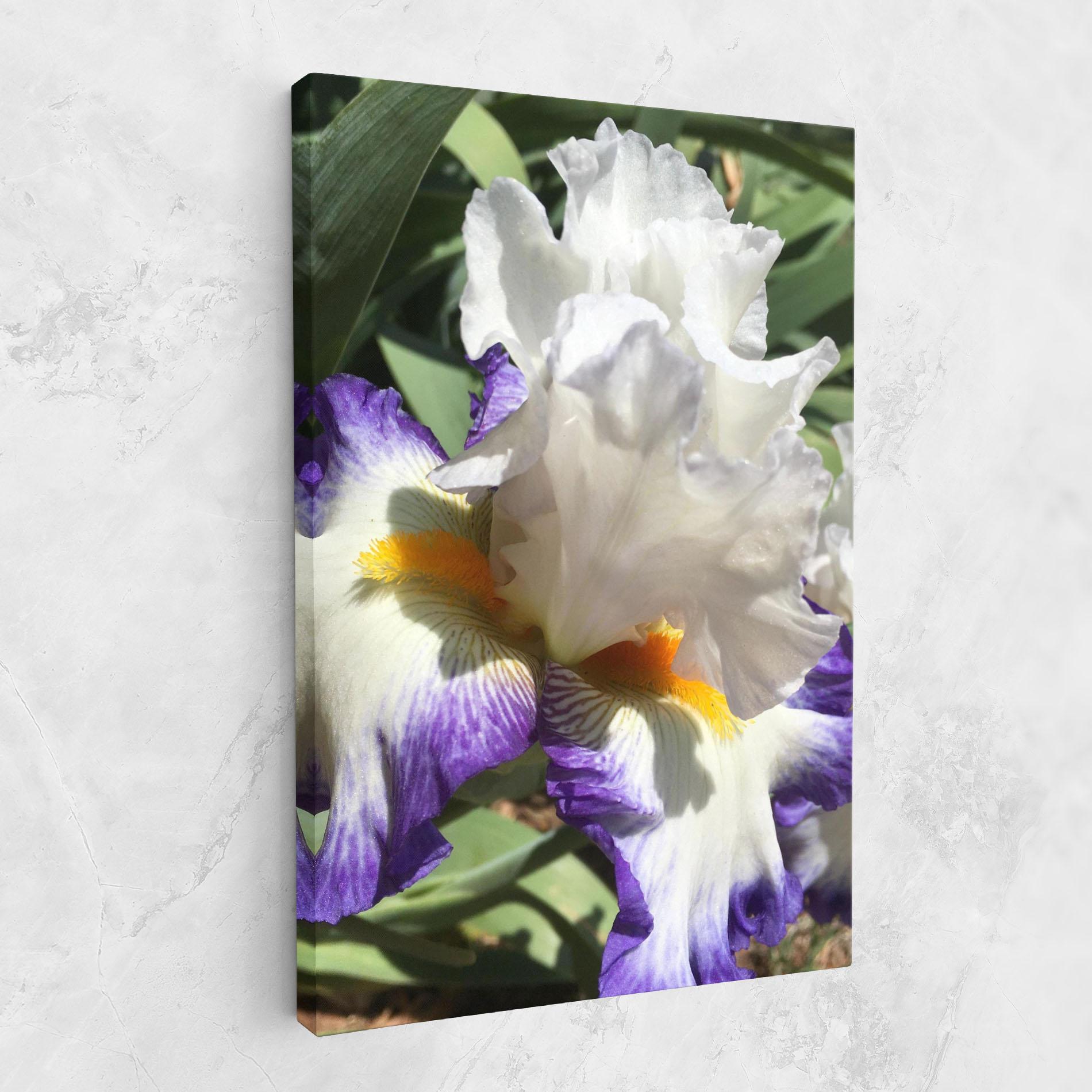 Tablou Canvas Garden White Purple Irirs mockup 1