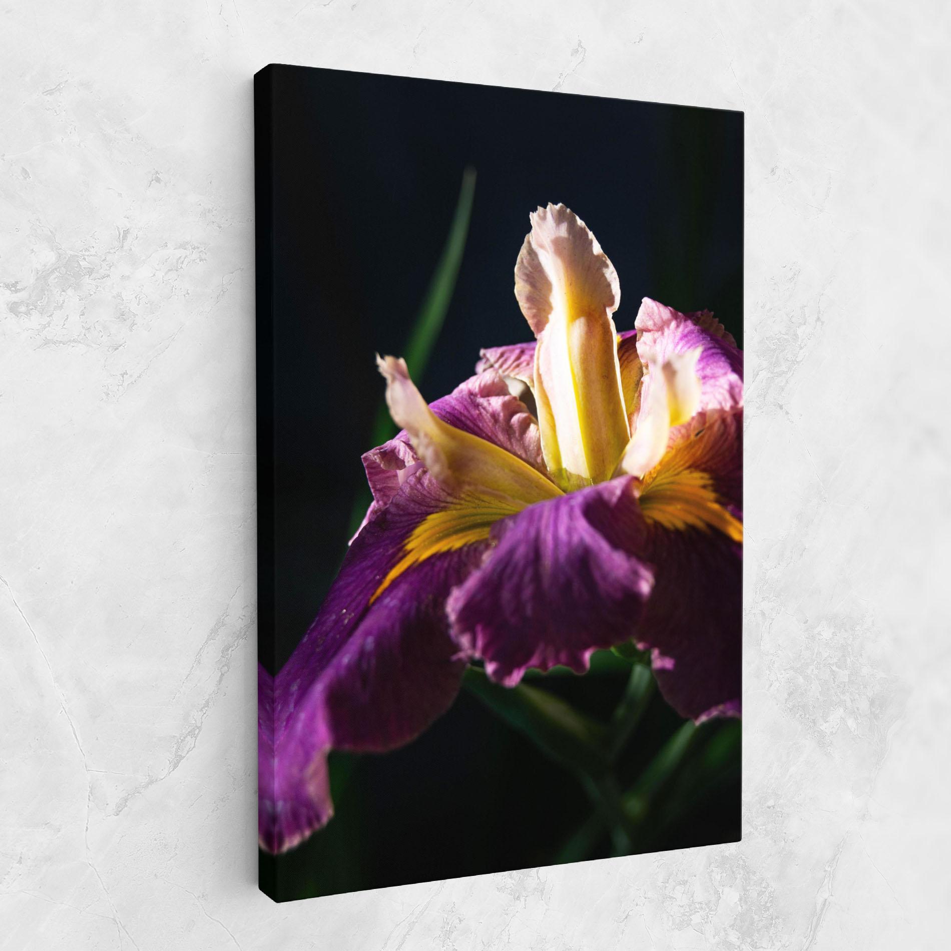 Tablou Canvas Pastel Yellow Iris mockup 1