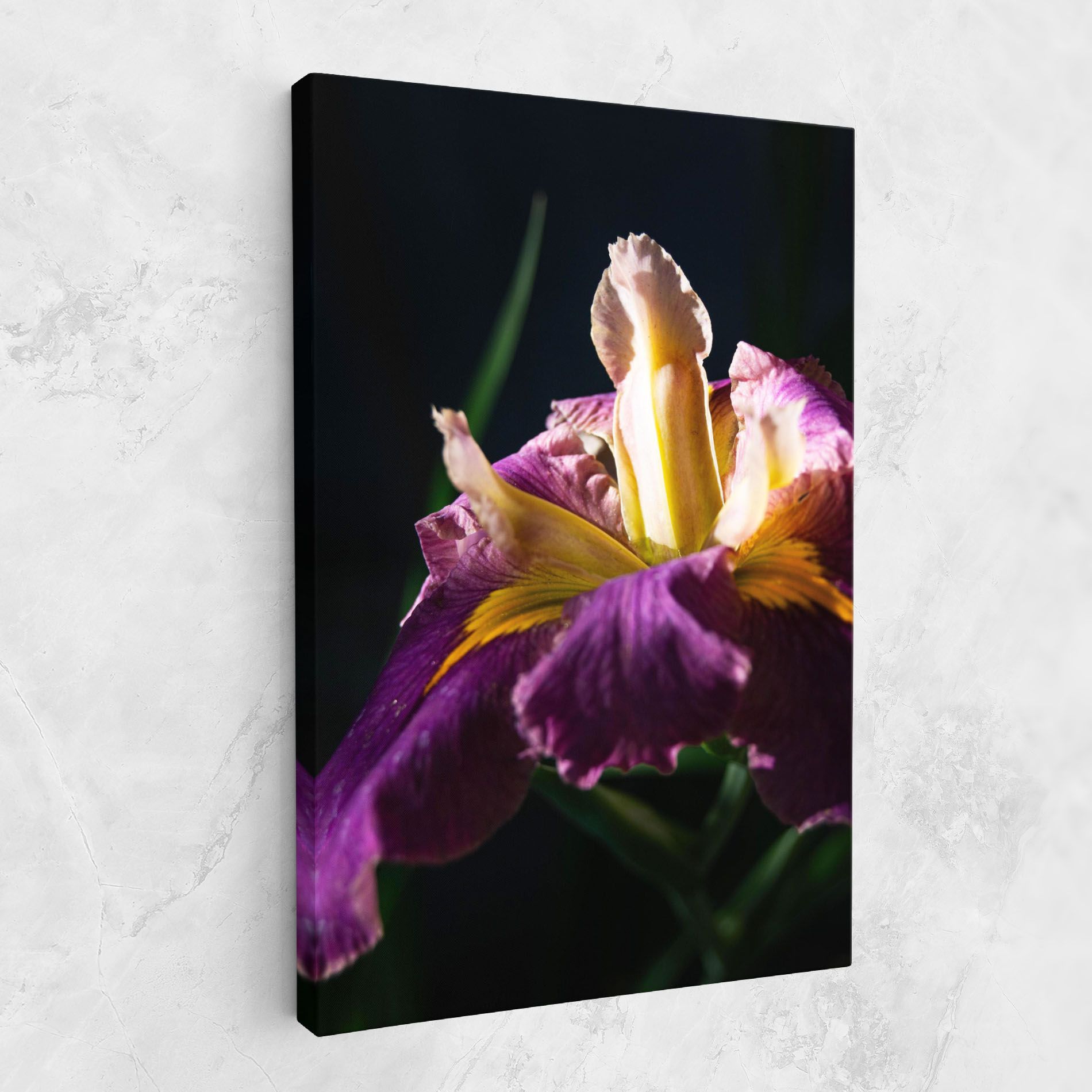 Pastel Yellow Iris mockup 1