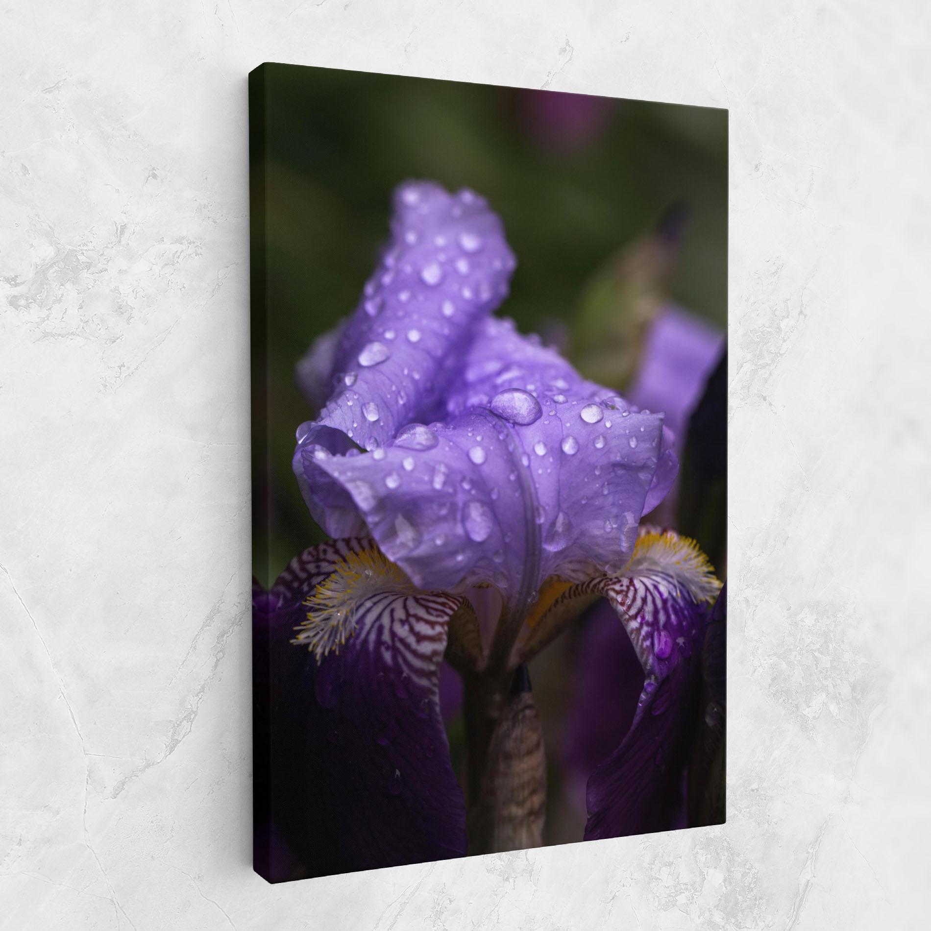 Tablou Canvas Rain In The Garden mockup 1