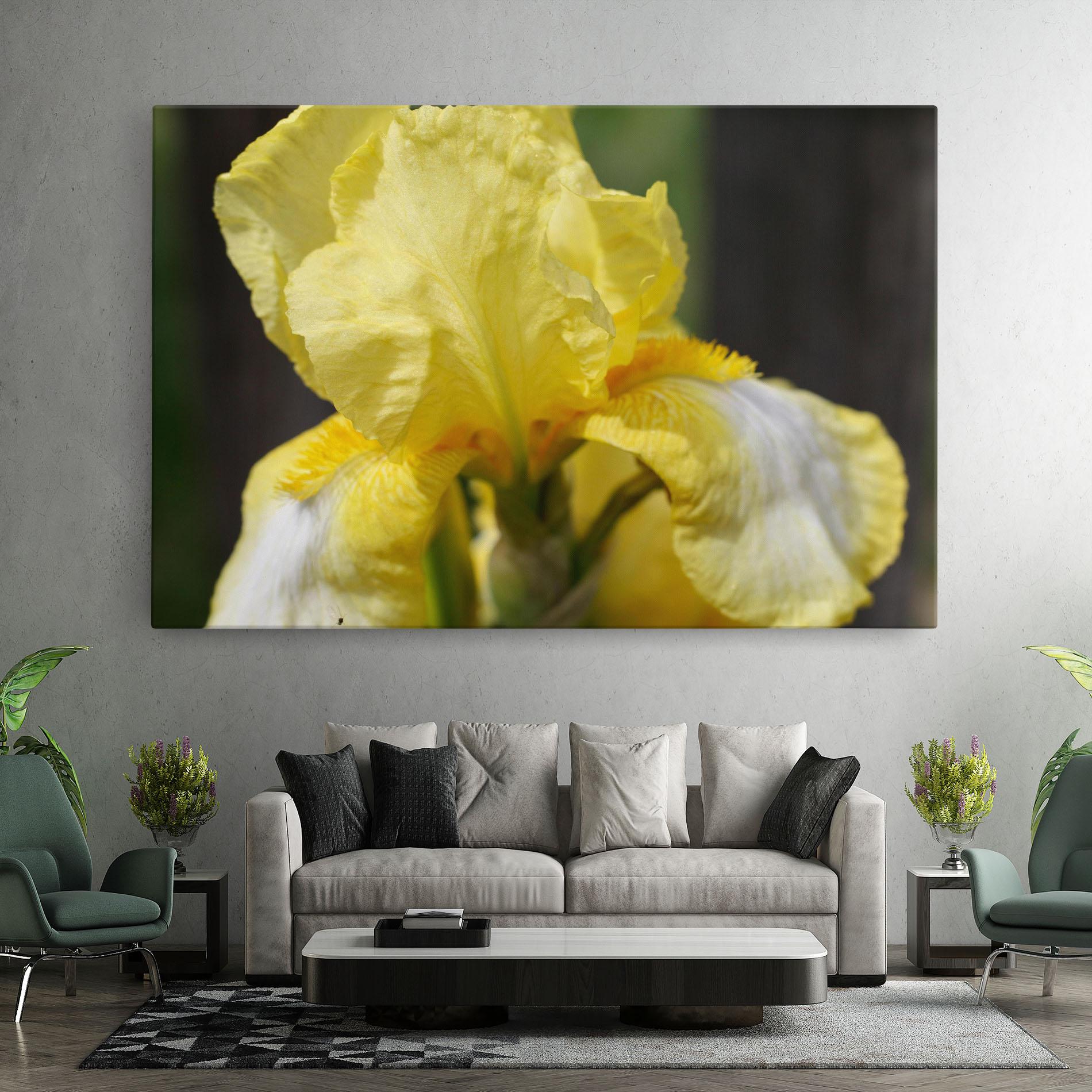 Tablou Canvas Garden Yellow Iris mockup 7