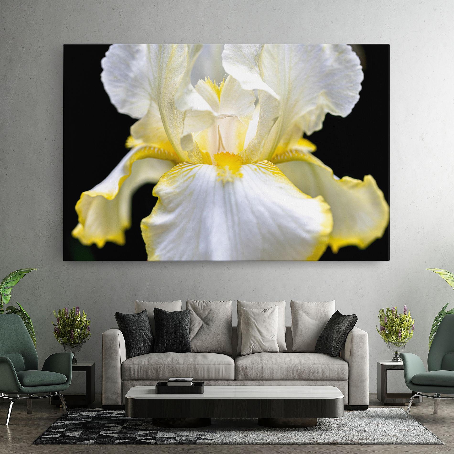 Tablou Canvas White Yellow Iris mockup 7
