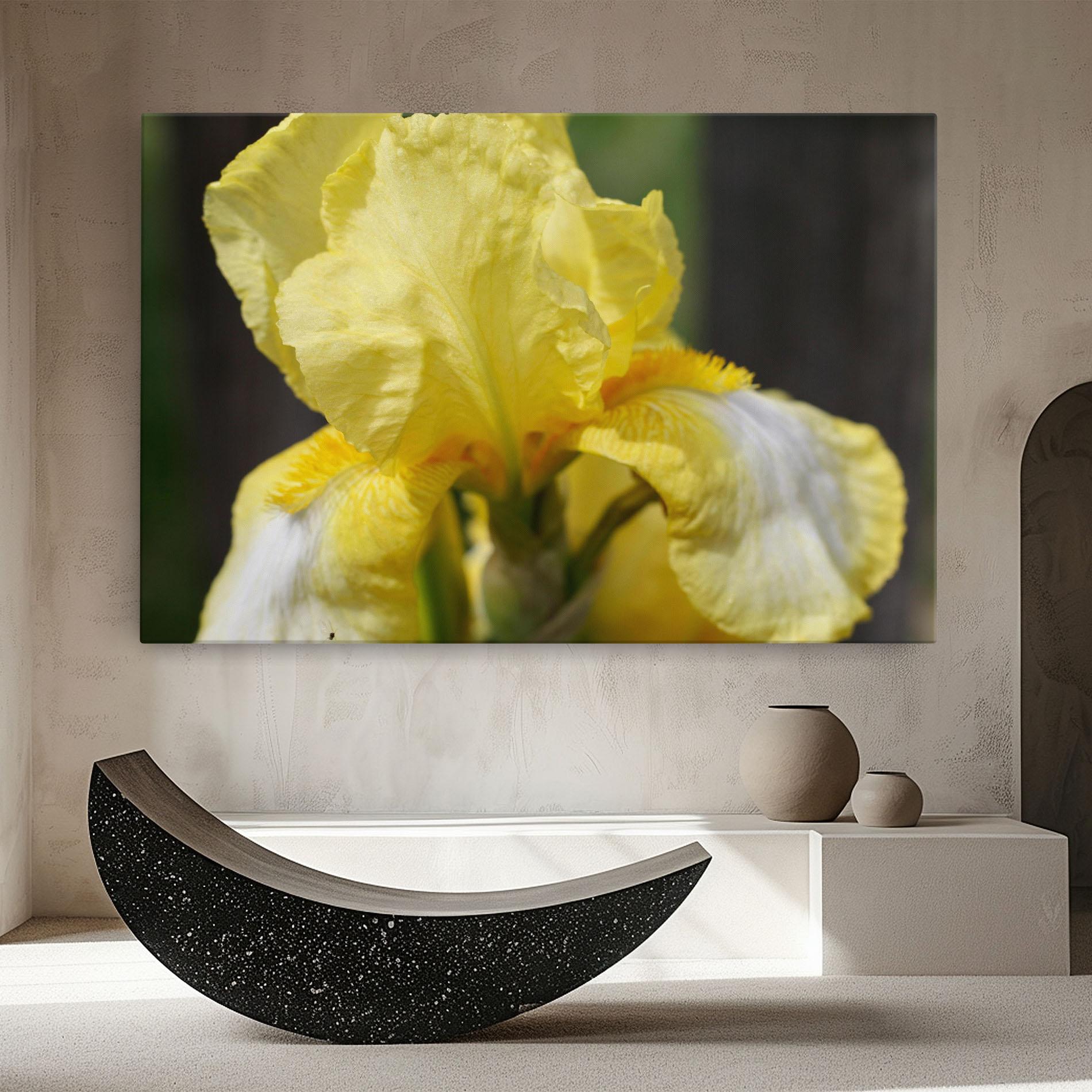 Tablou Canvas Garden Yellow Iris mockup 8