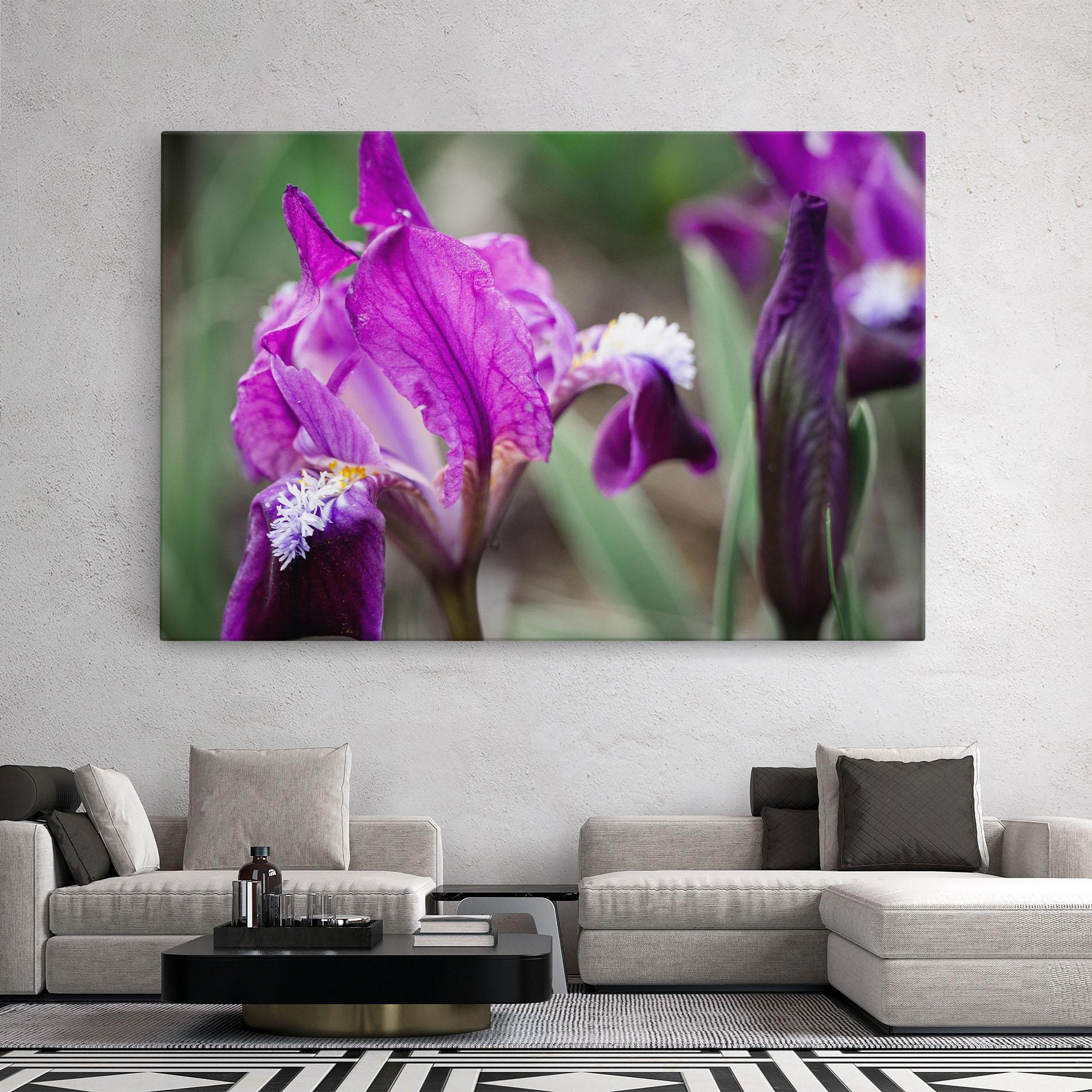 Tablou Canvas Dark Pink Iris mockup 2