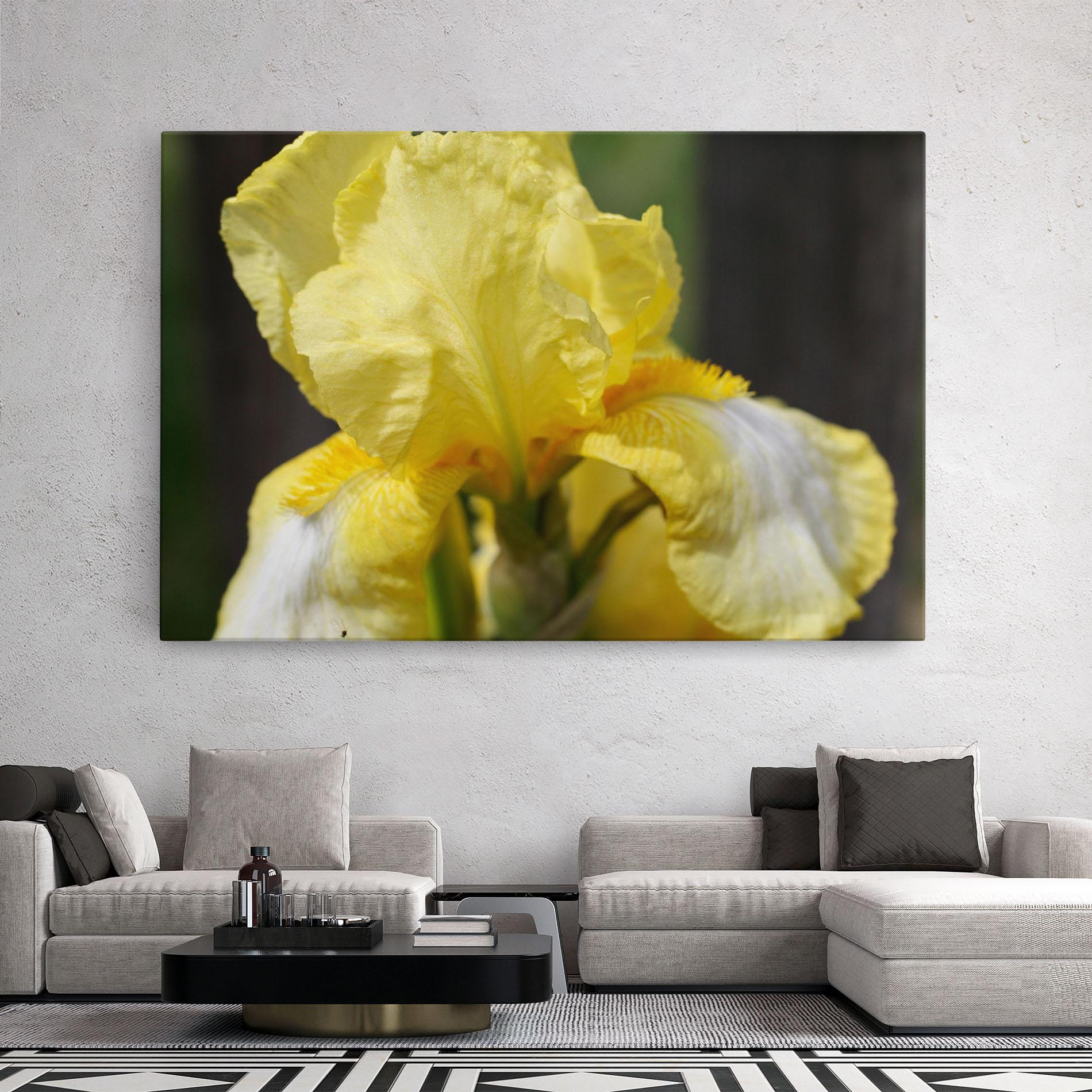 Tablou Canvas Garden Yellow Iris mockup 2