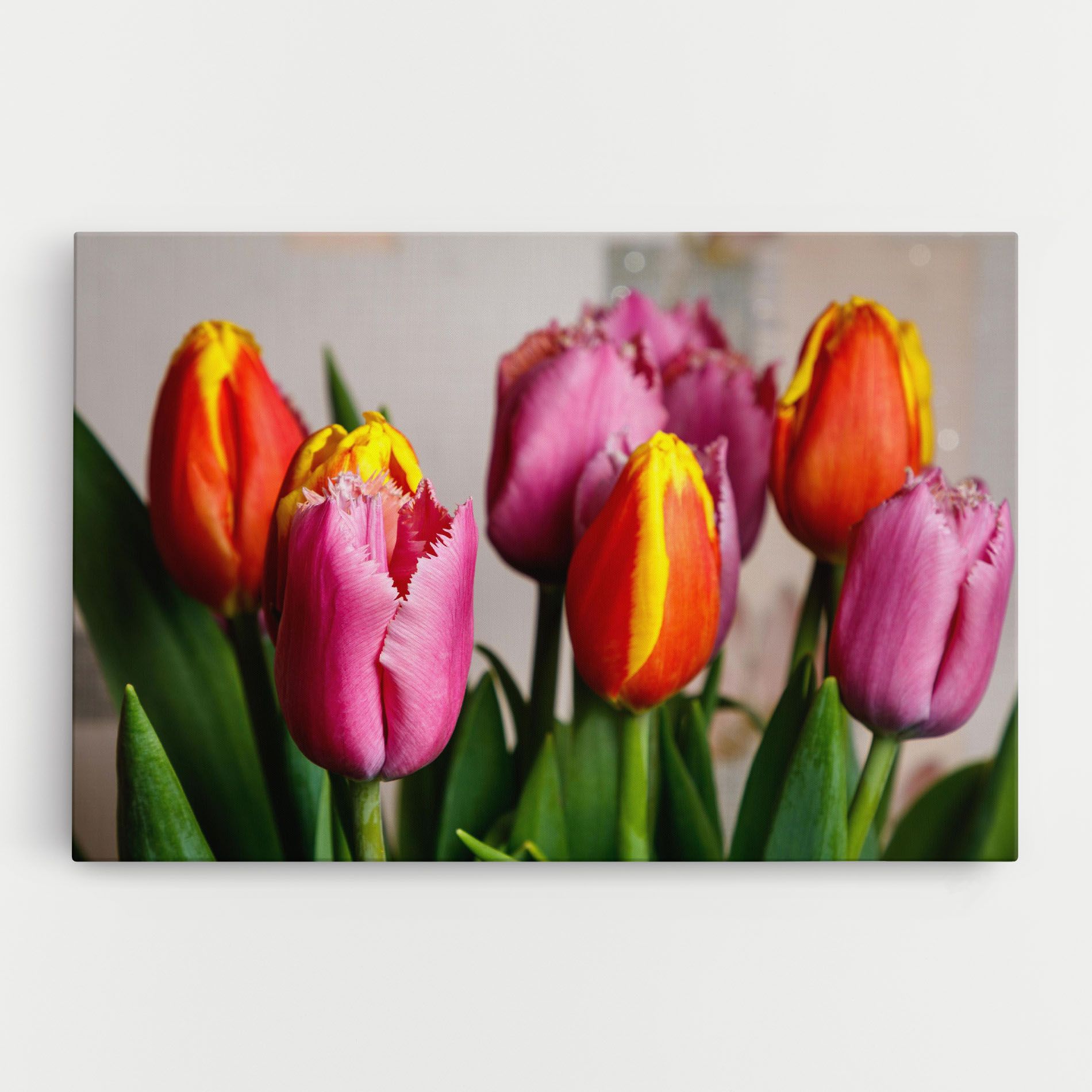 Pink Orange Tulips mockup 0