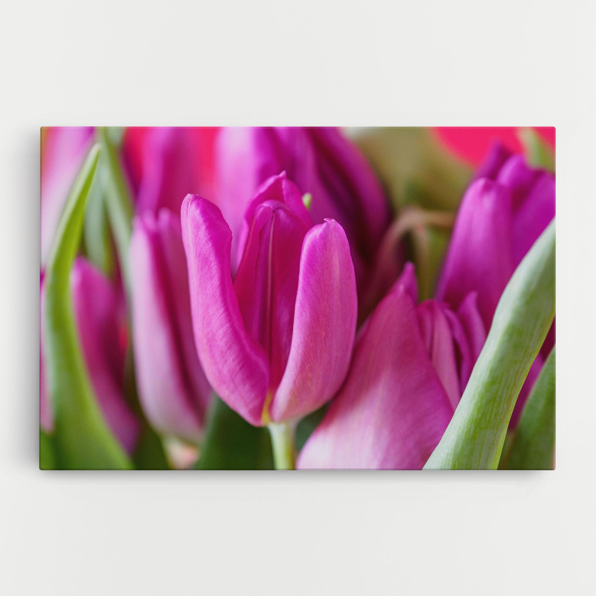 Purple Tulip Close Up mockup 0