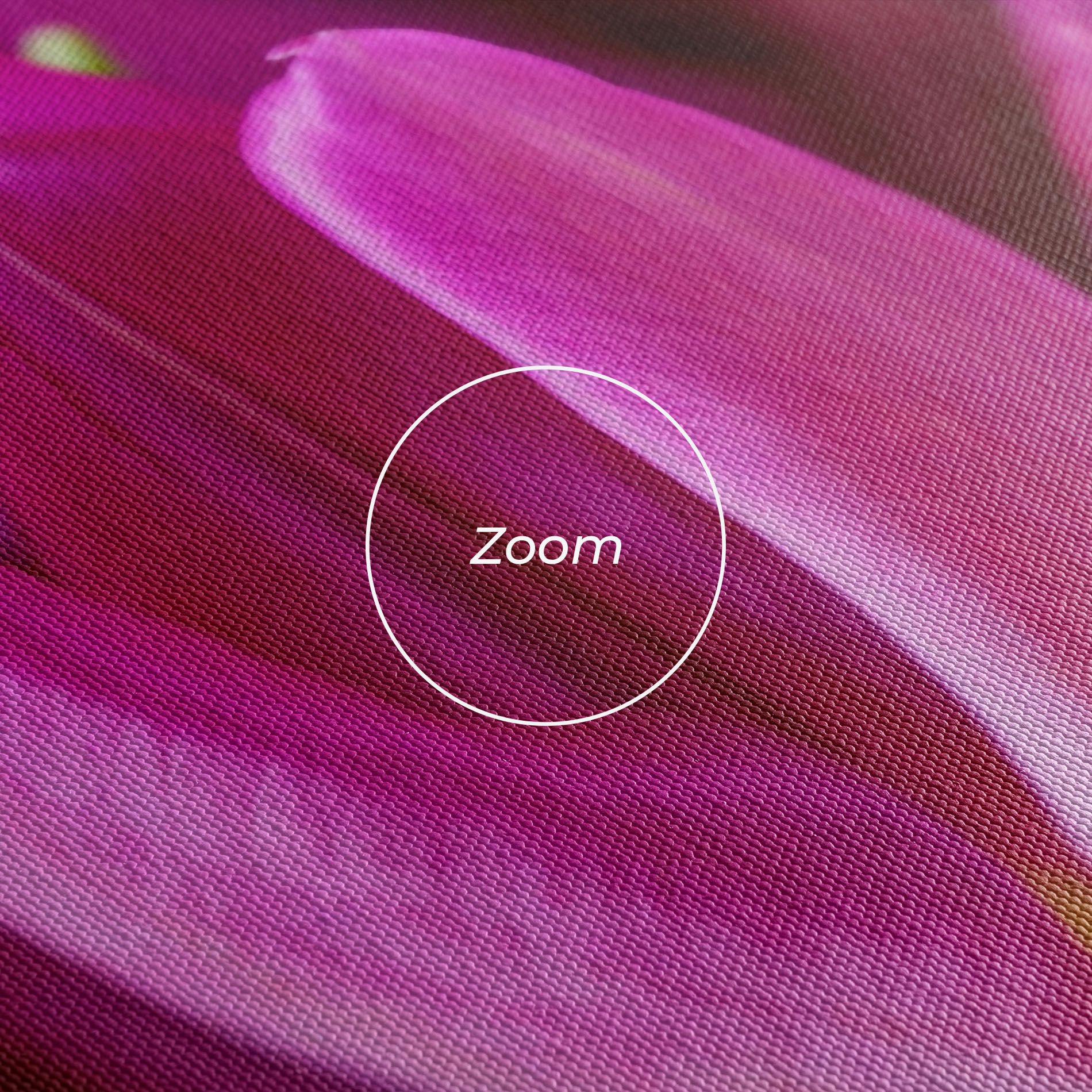 Purple Tulip Close Up mockup 3