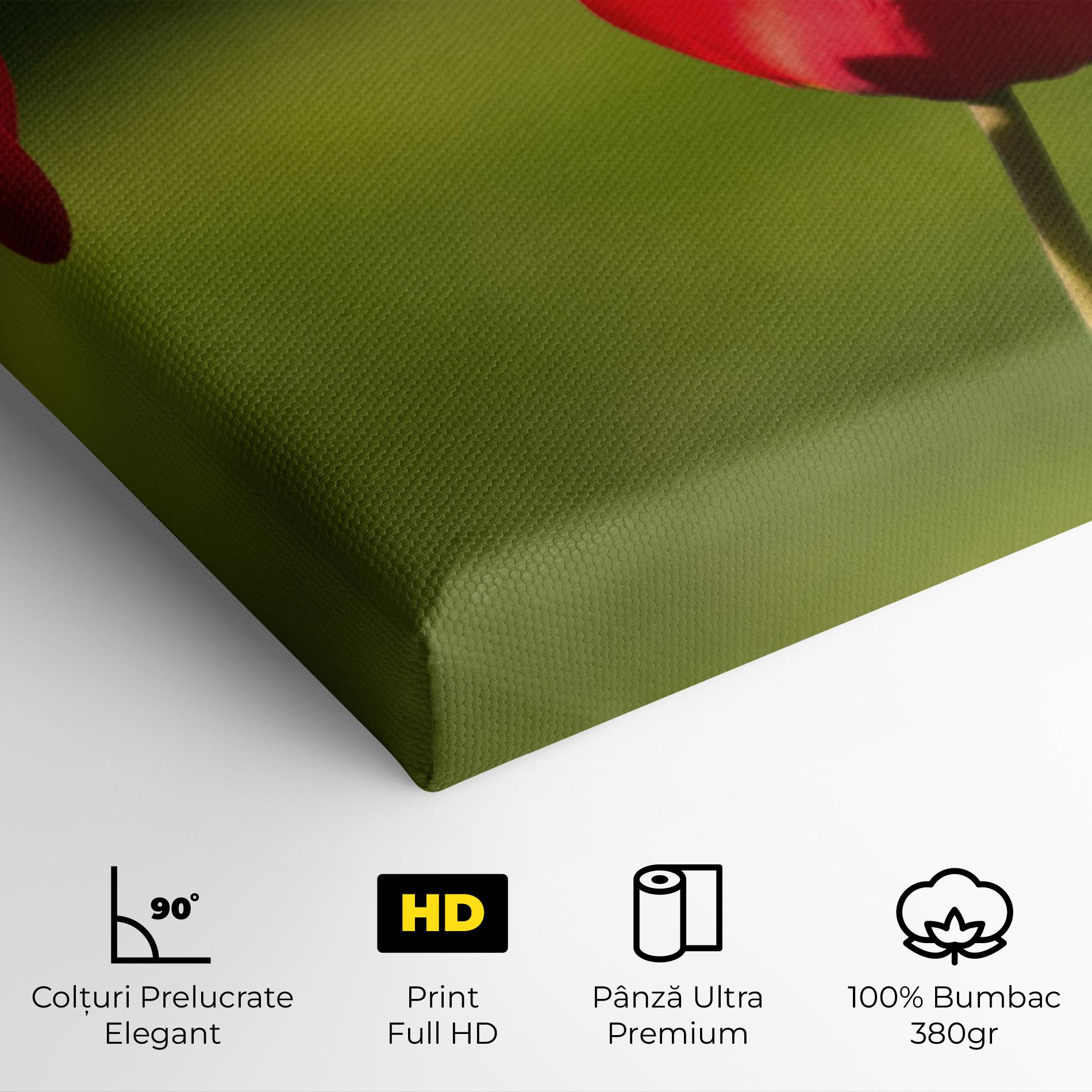 Tablou Canvas 3 Red Tulips mockup 4
