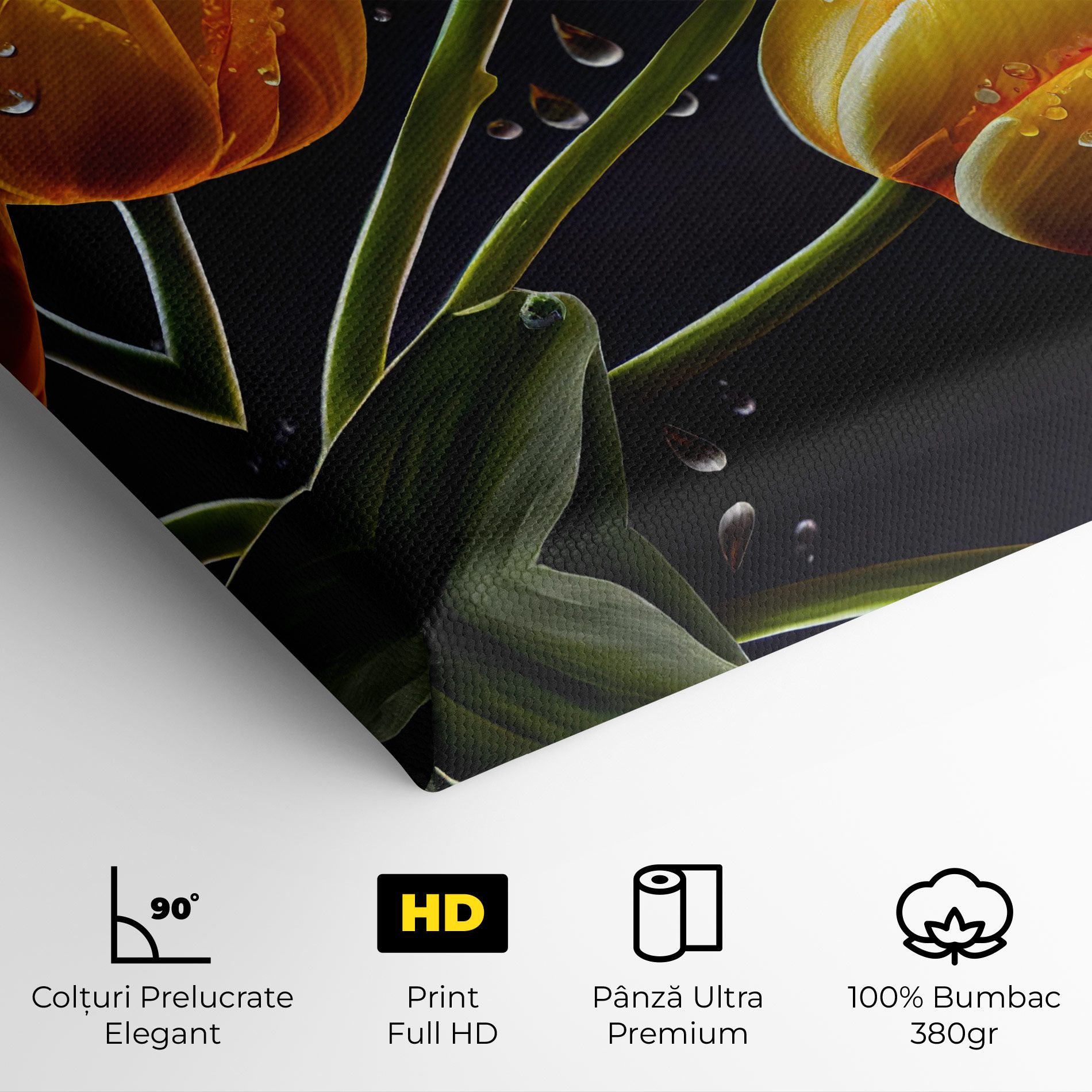 3 Yellow Tulips mockup 4