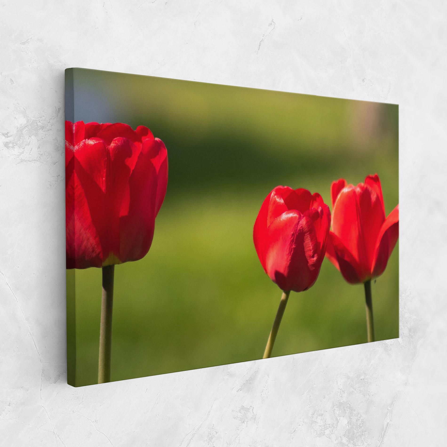 Tablou Canvas 3 Red Tulips mockup 1