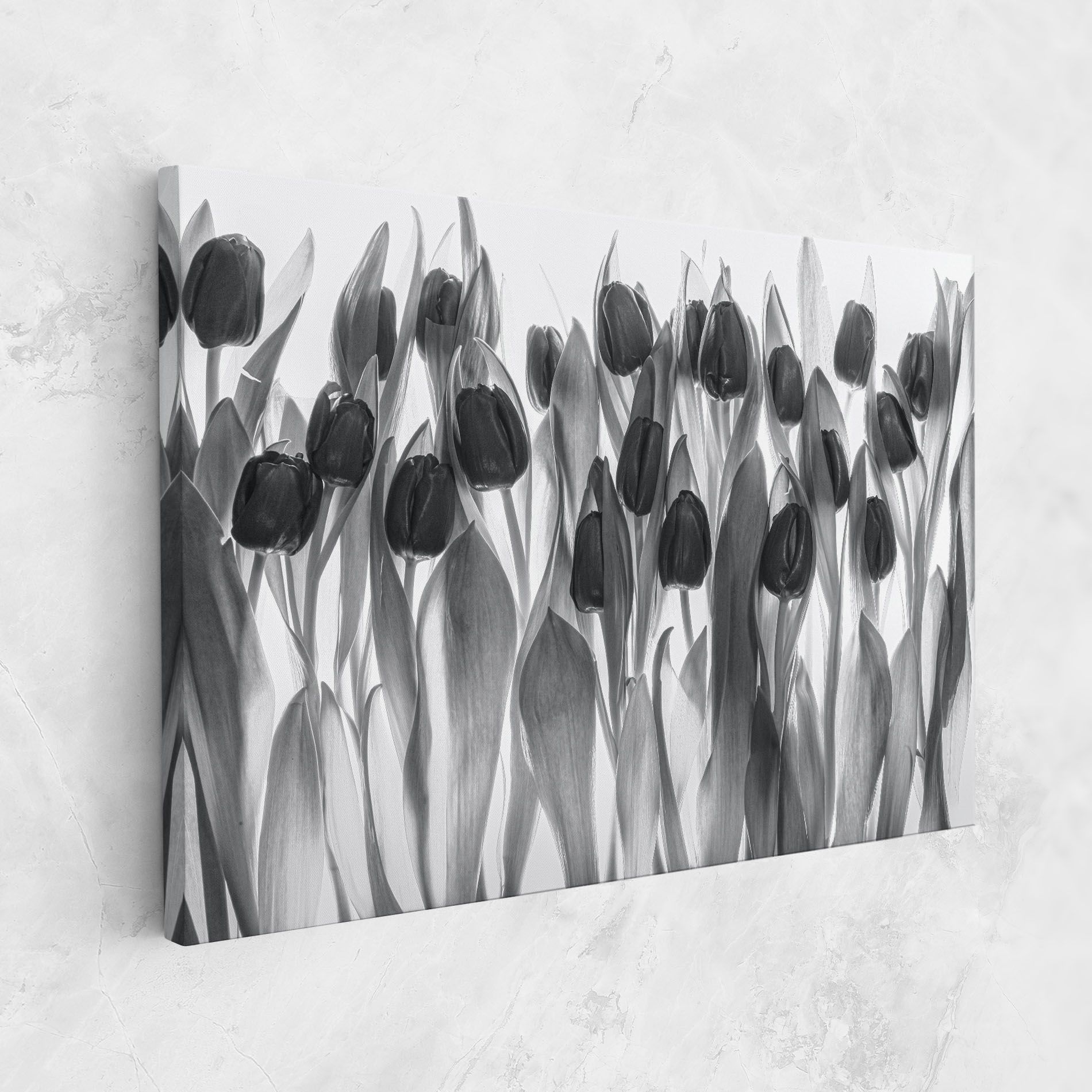 Grey Tulips mockup 1