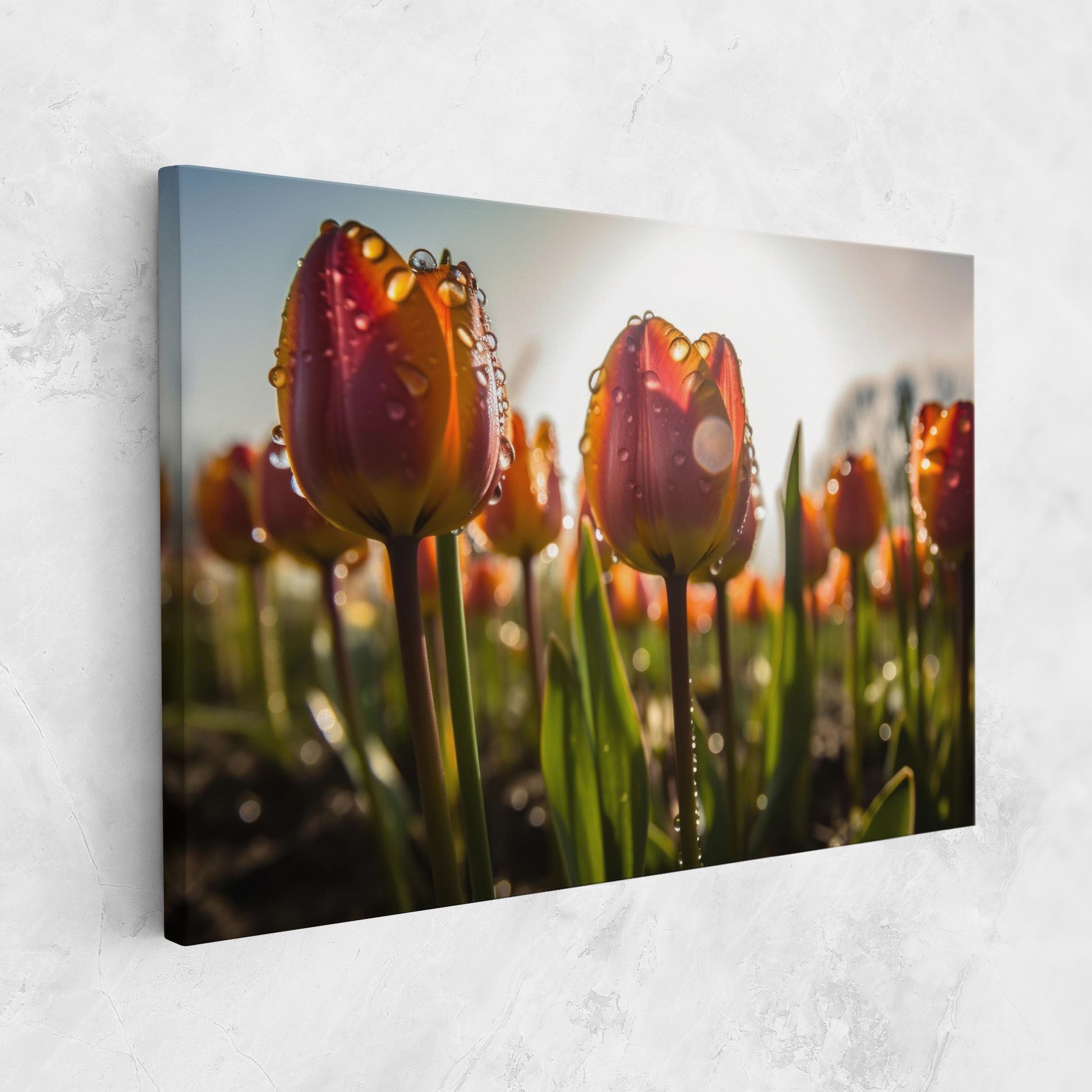 Orange Tulips After Rain mockup 1