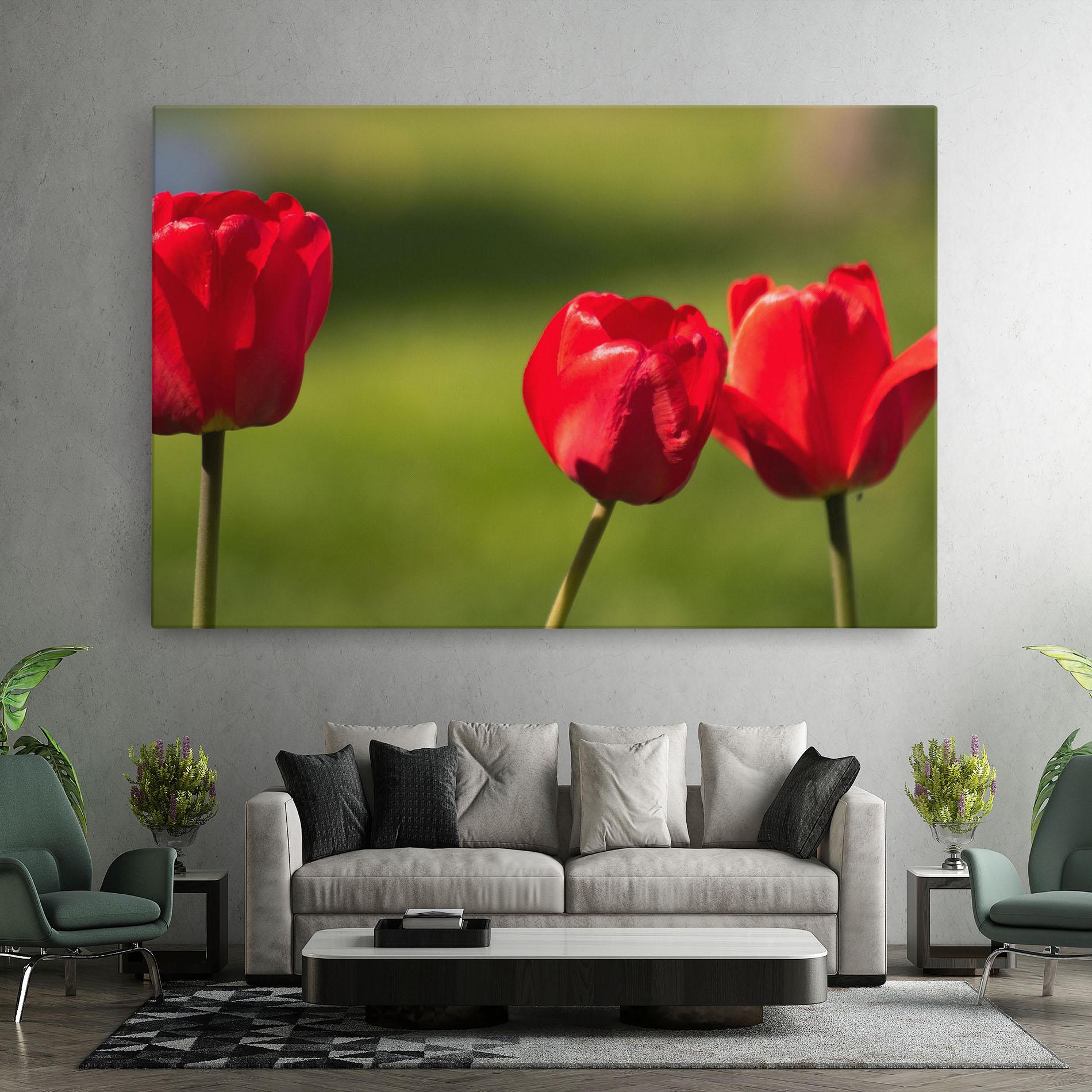 Tablou Canvas 3 Red Tulips mockup 7