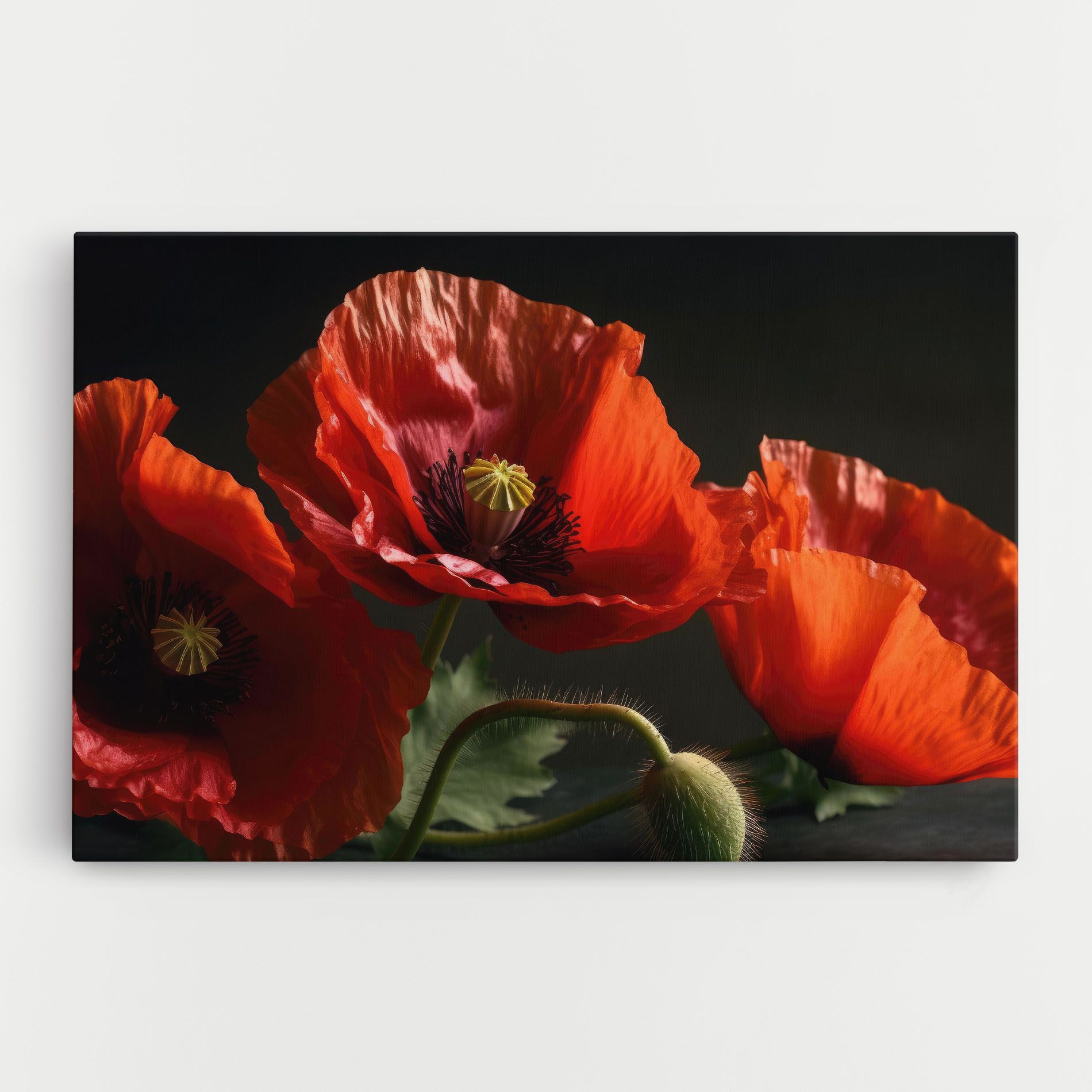 3 Pretty Poppies mockup 0
