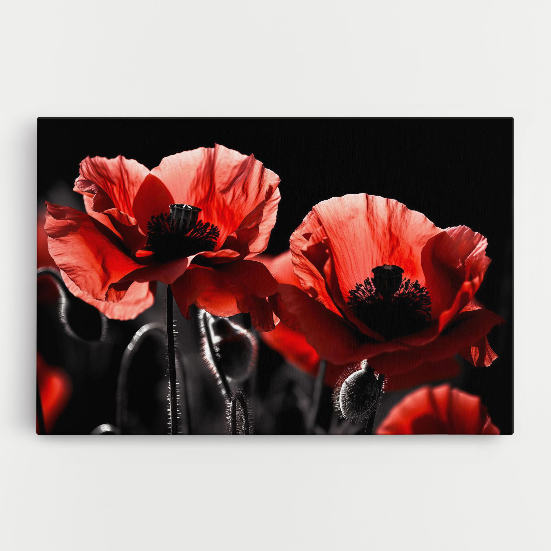 Tablou Canvas Light Red Poppy On Black mockup 0