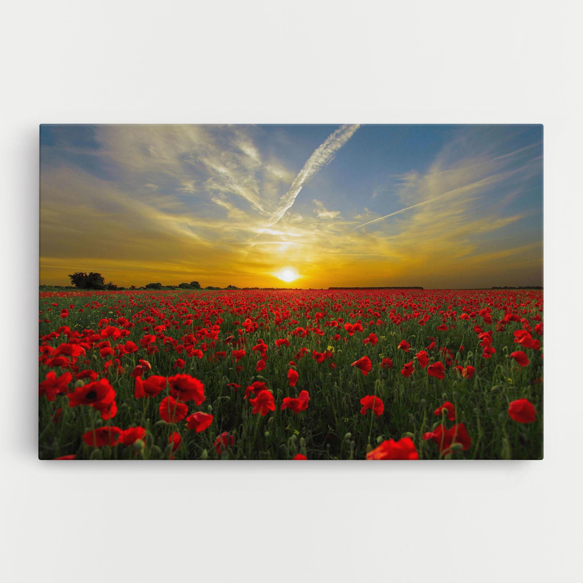 Tablou Canvas Poppies Sunset mockup 0