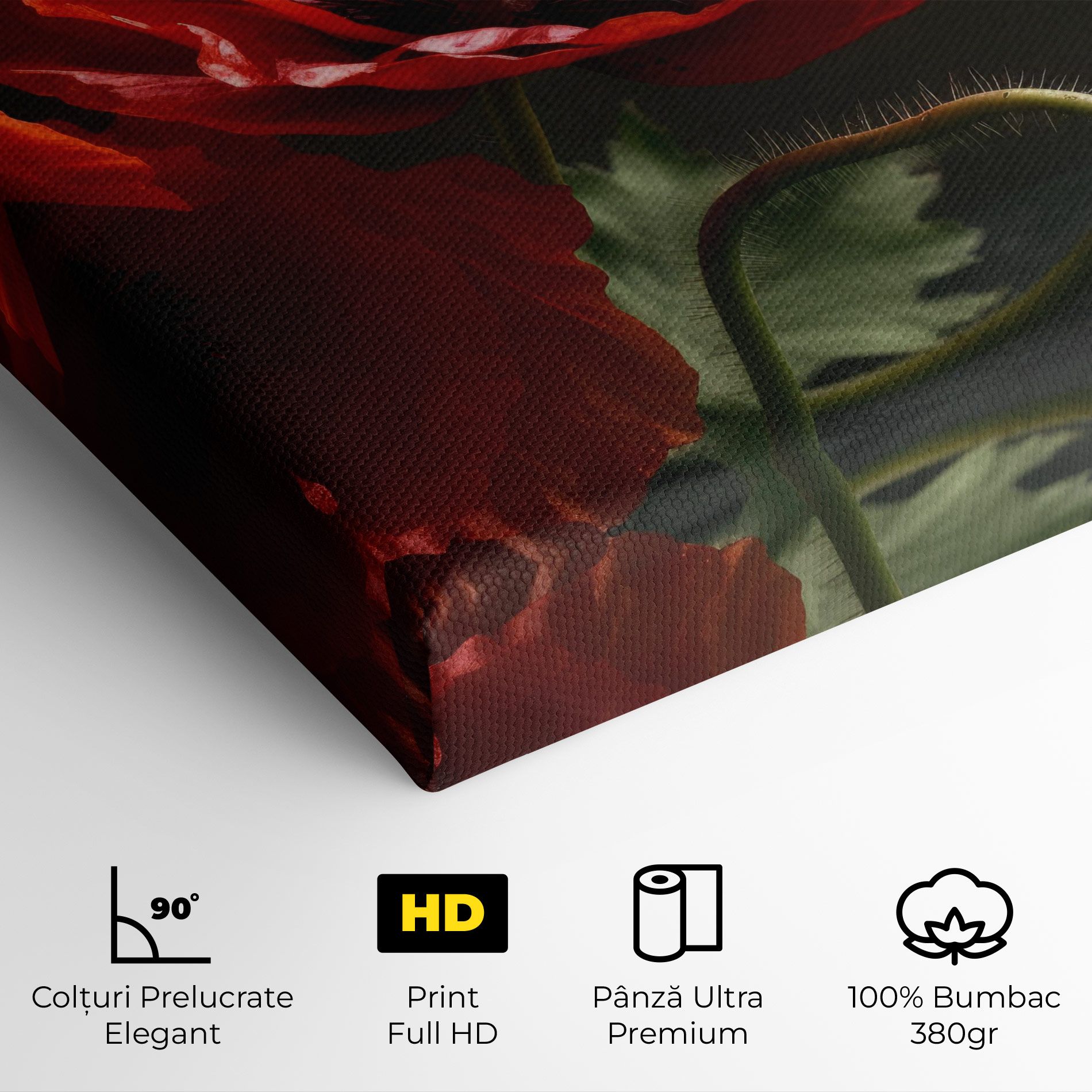 3 Pretty Poppies mockup 4