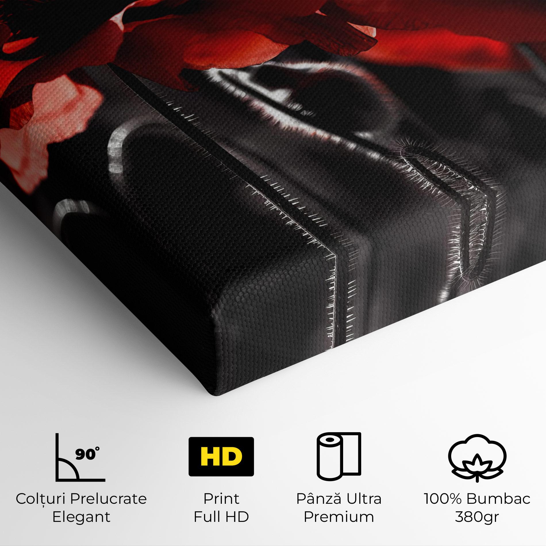 Tablou Canvas Light Red Poppy On Black mockup 4