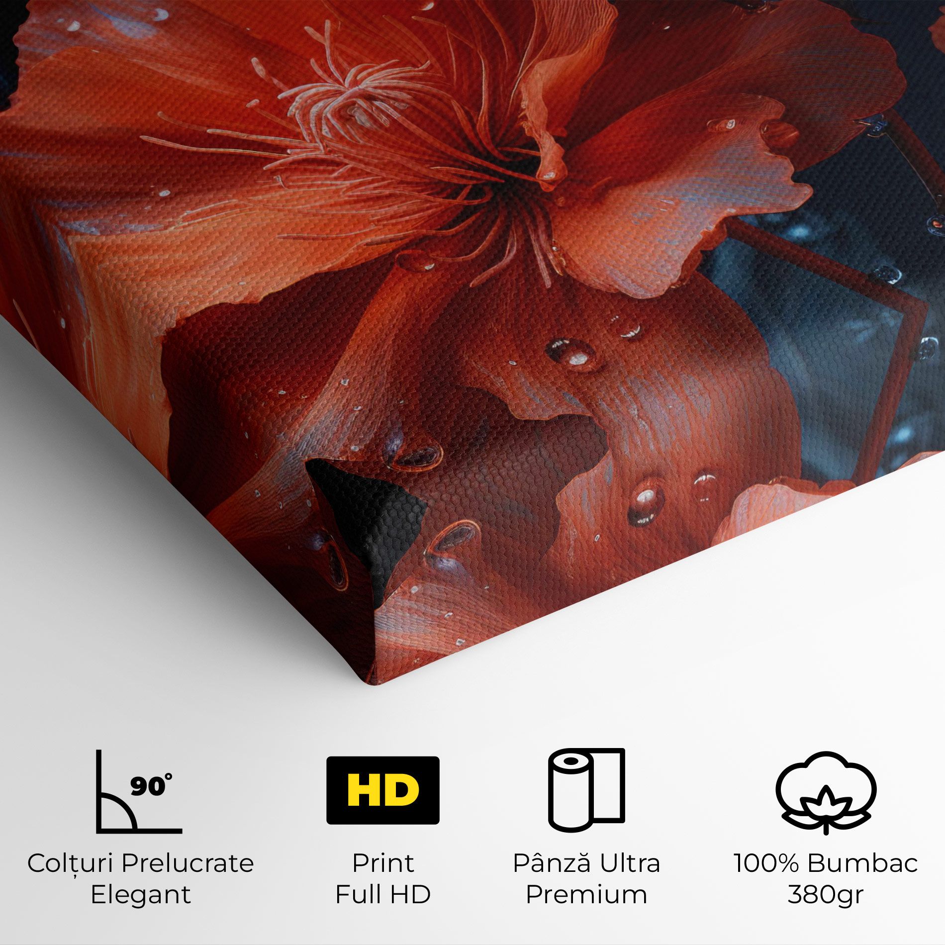 Orange Poppy mockup 4