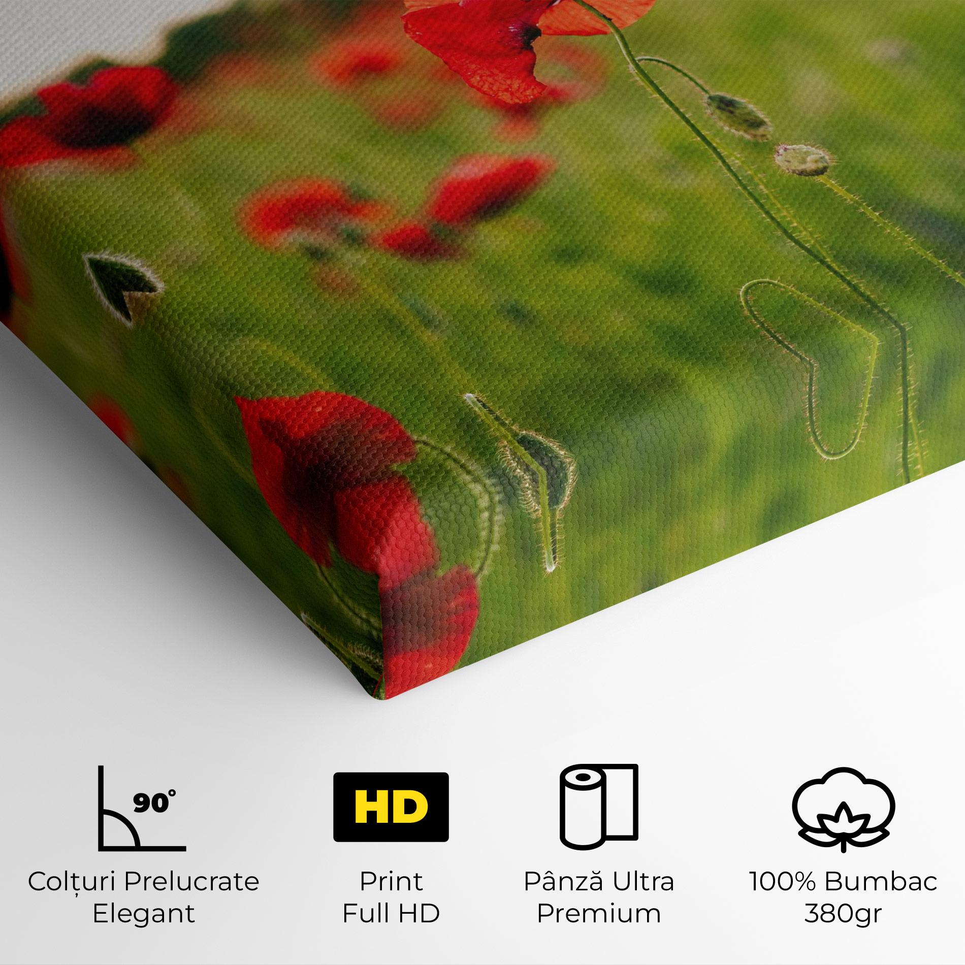 Tablou Canvas Poppies Field mockup 4
