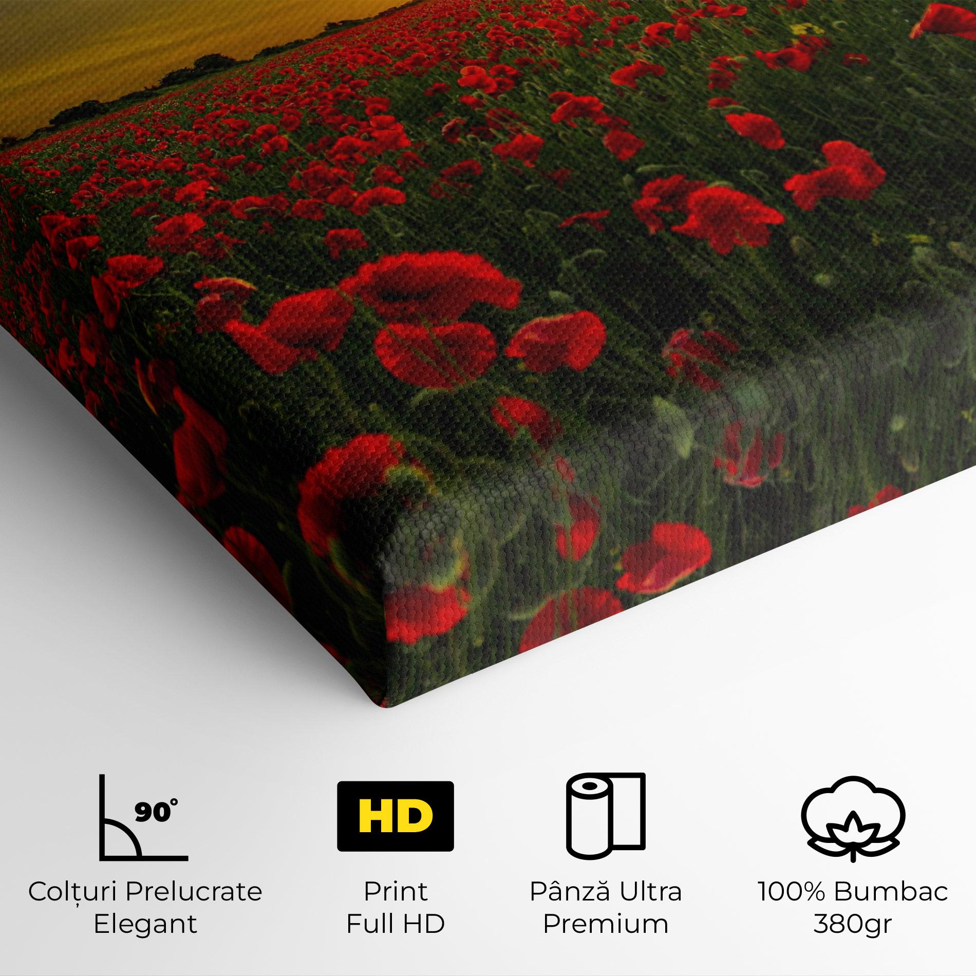 Tablou Canvas Poppies Sunset mockup 4